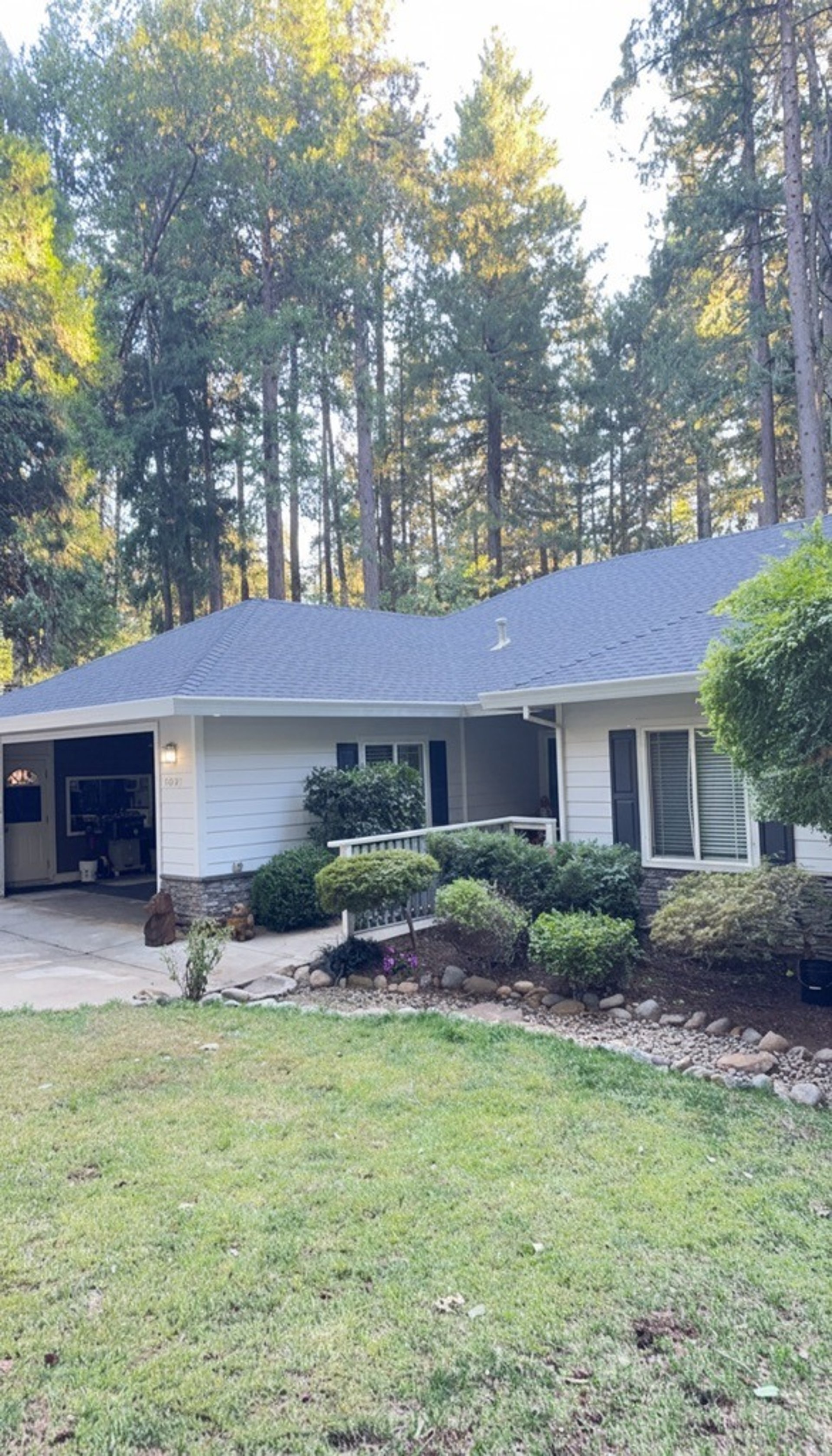 Dry Rot structure Chico Ca 