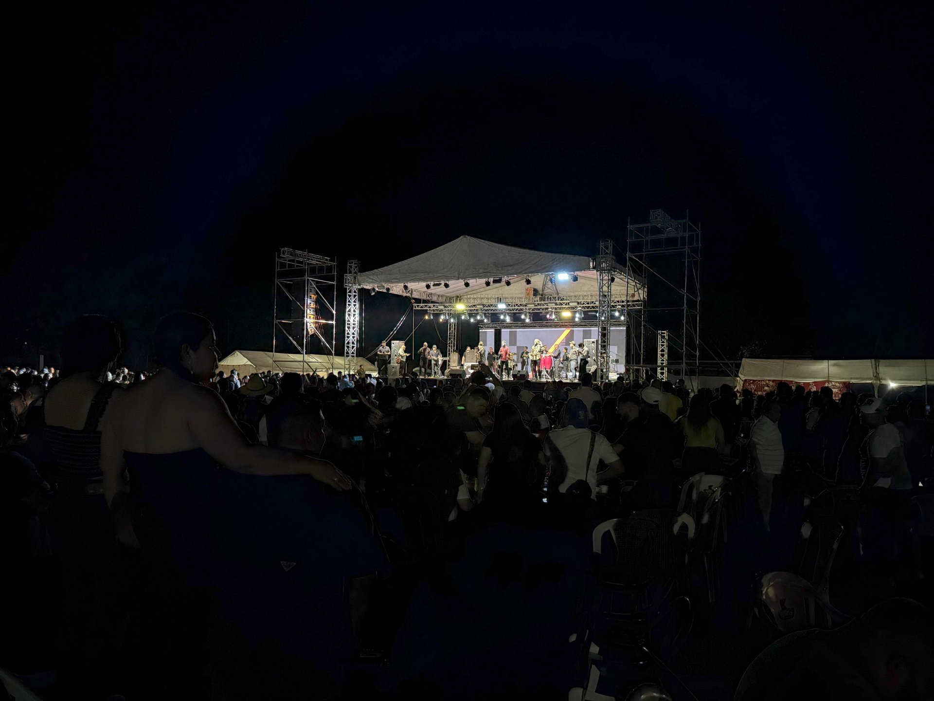 assorted-color guitar lot