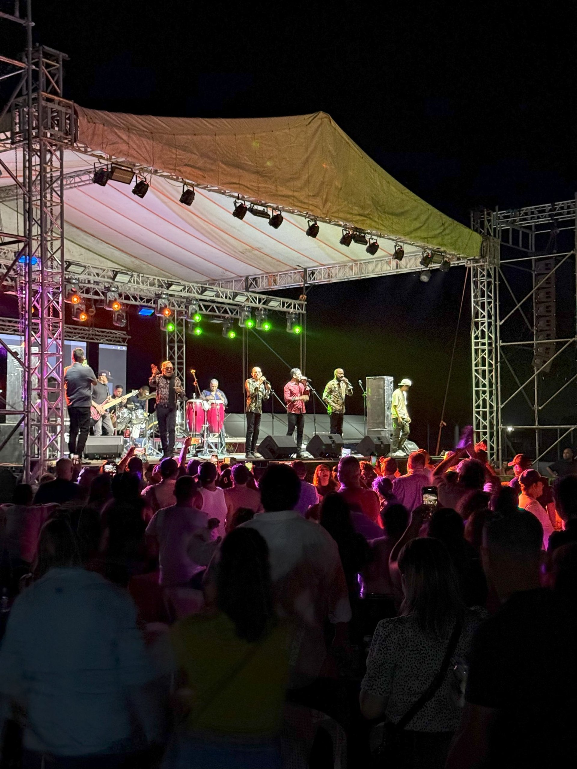 assorted-color guitar lot