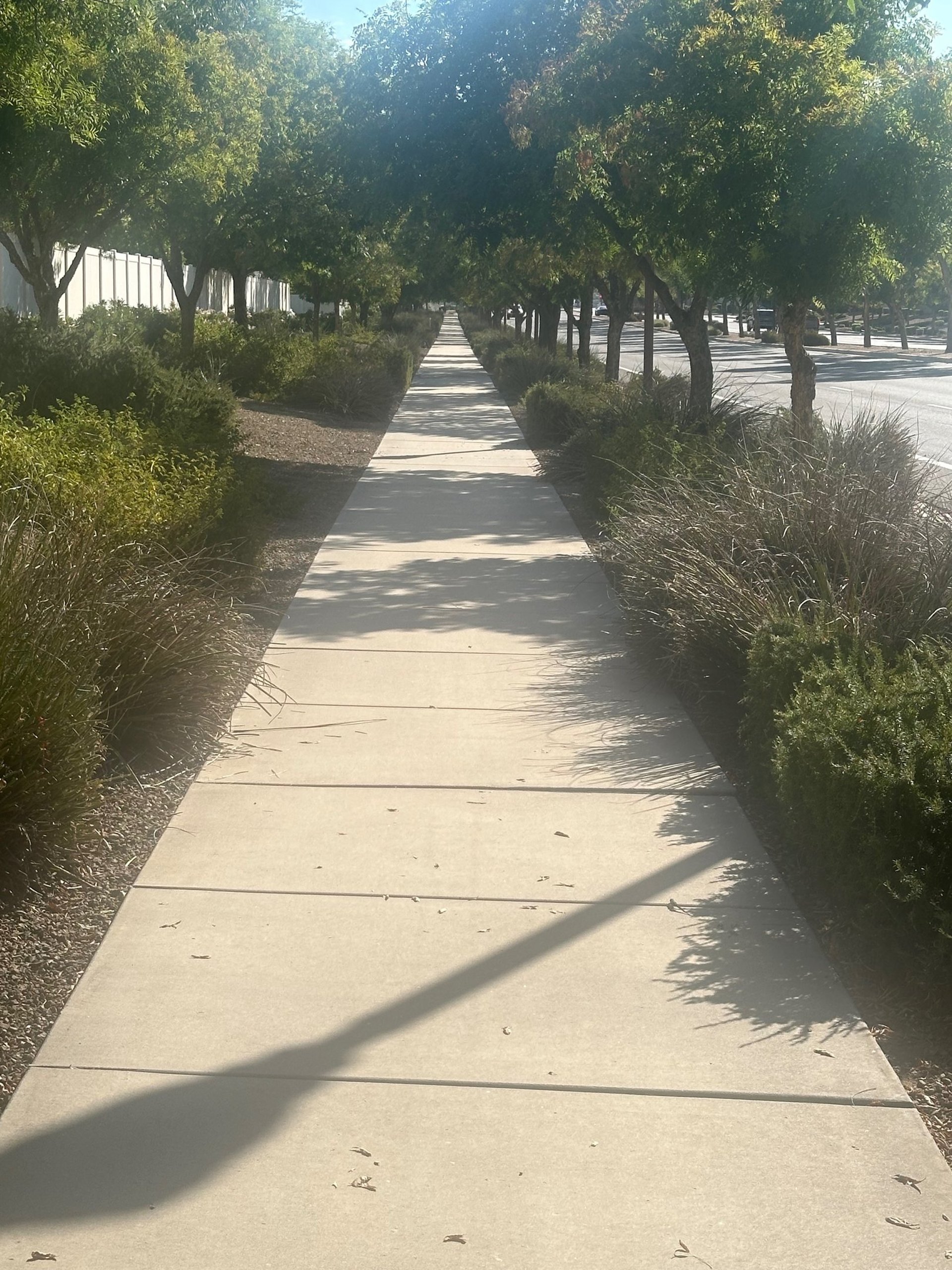 black and brown leather padded tub sofa
