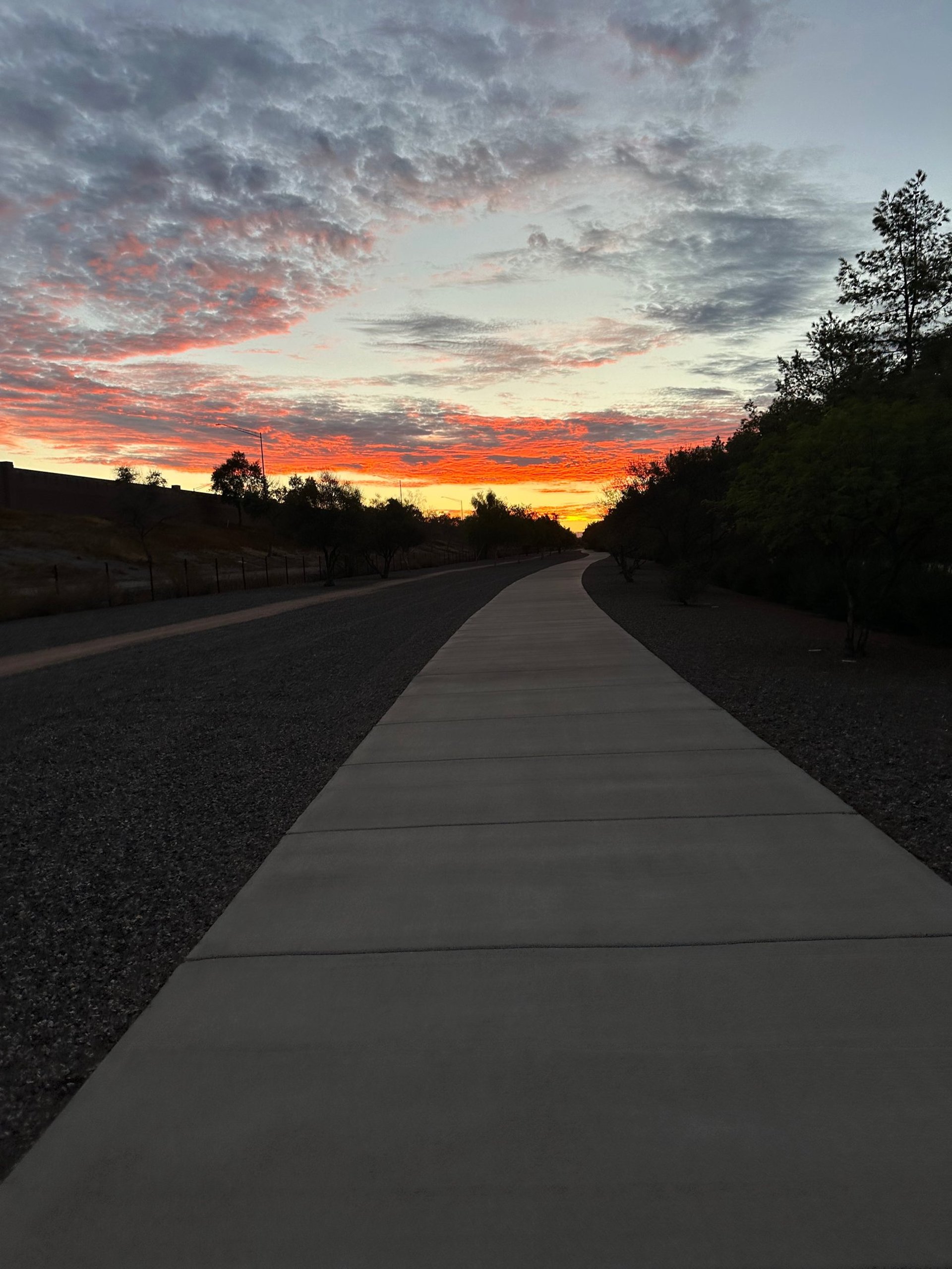 black and brown leather padded tub sofa