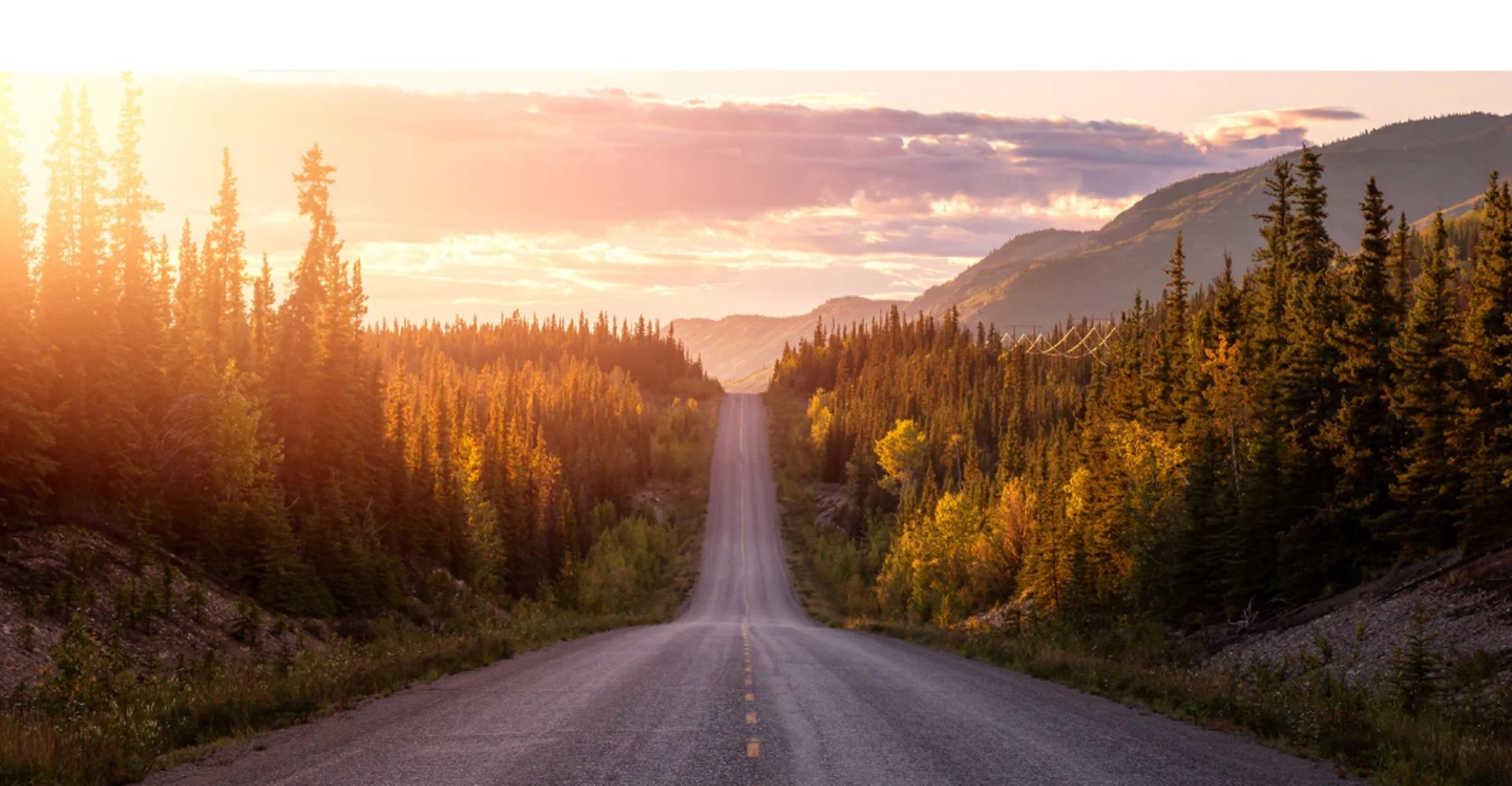 black and brown leather padded tub sofa