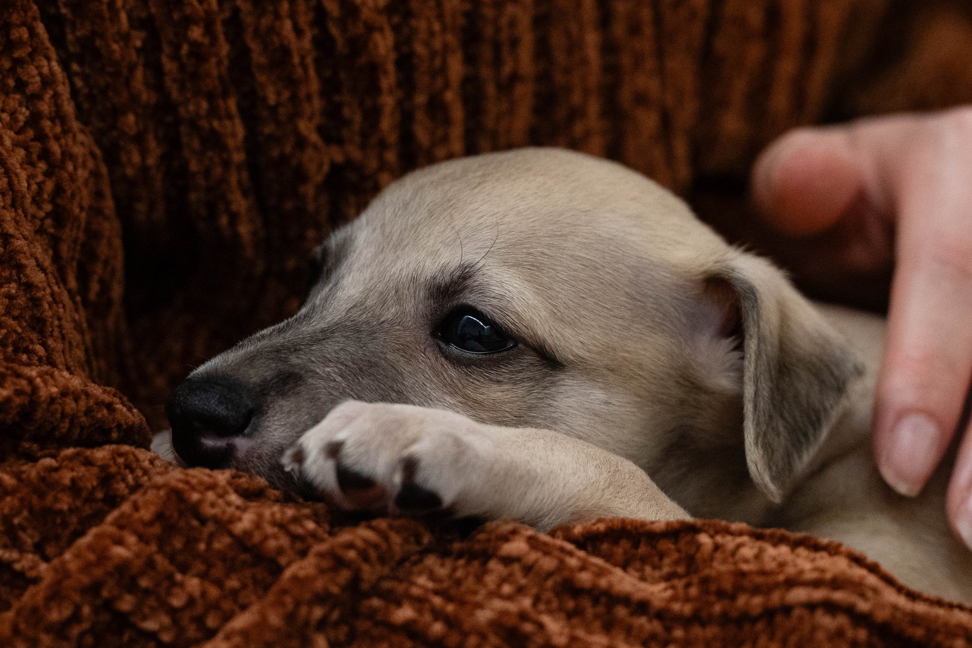 an abstract photo of a curved building with a blue sky in the background