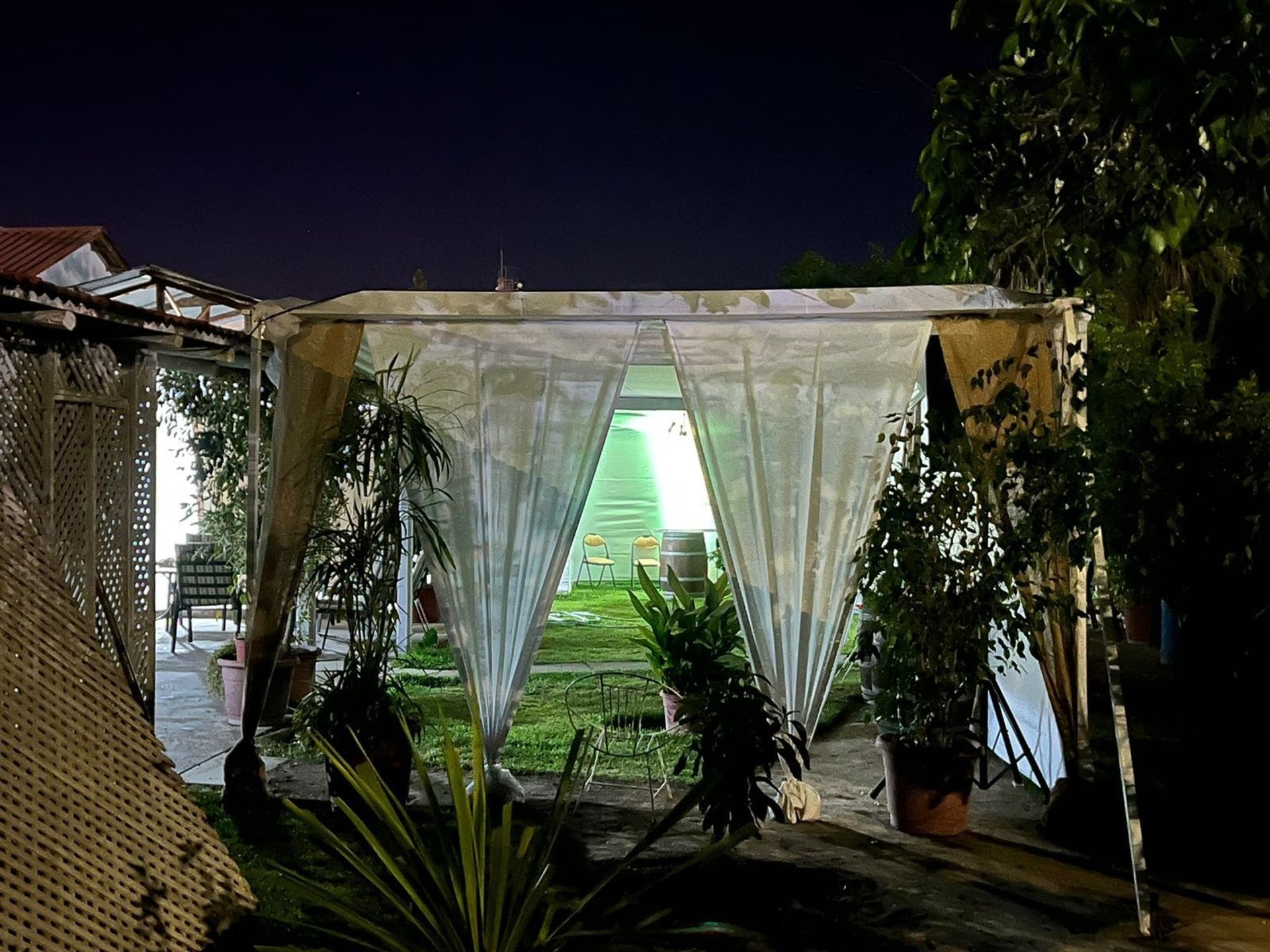 woman wearing yellow long-sleeved dress under white clouds and blue sky during daytime