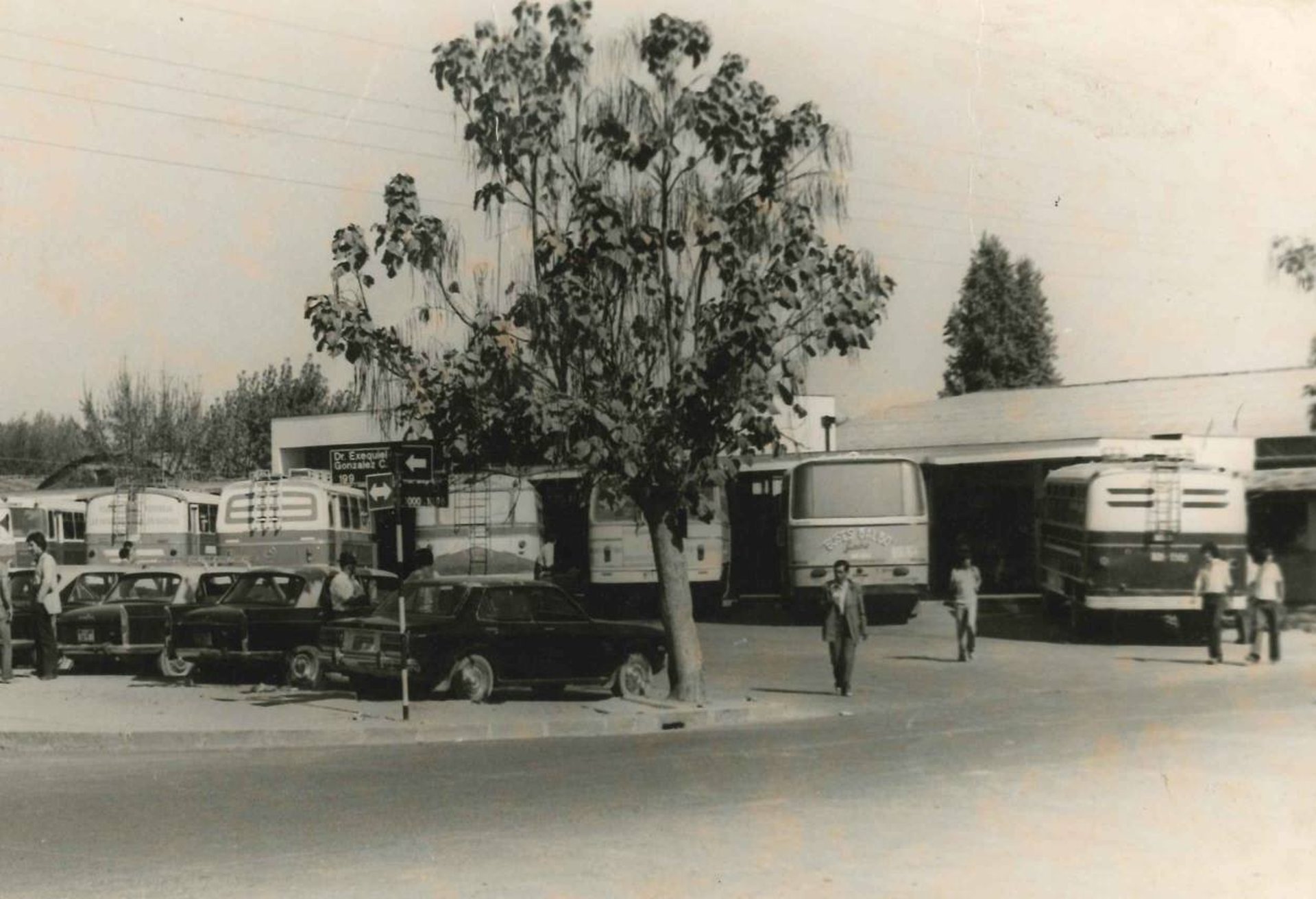 person using smartphone