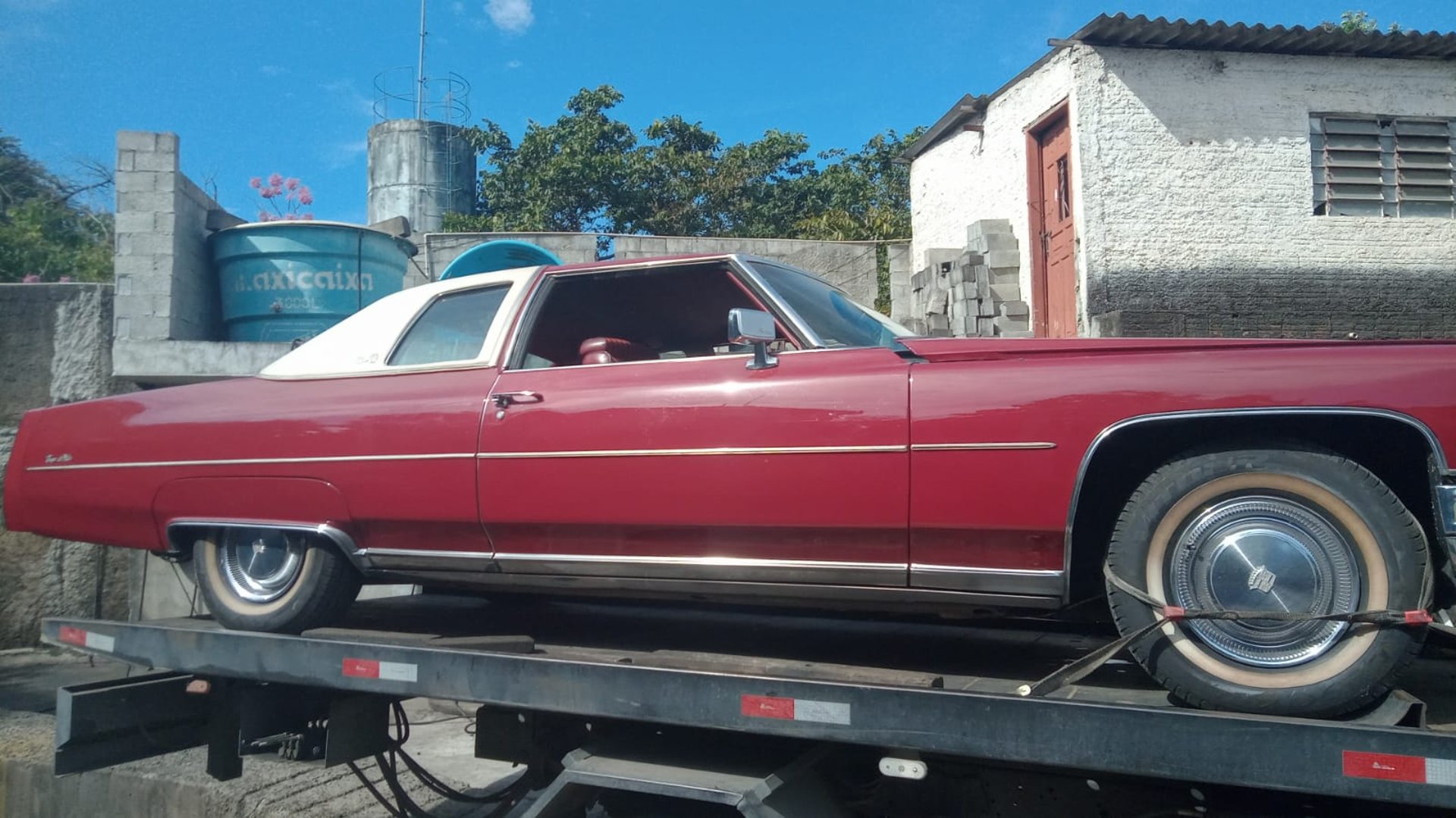 woman wearing yellow long-sleeved dress under white clouds and blue sky during daytime