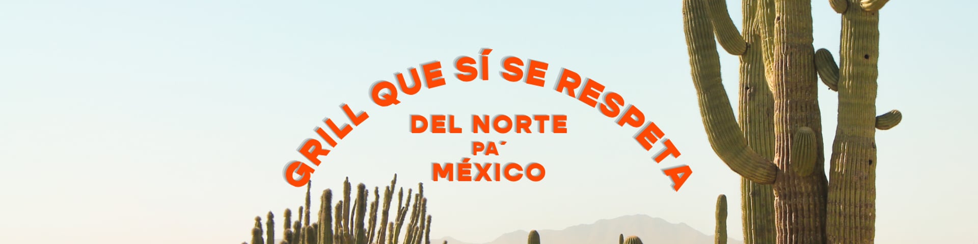 cacti and grass on hills