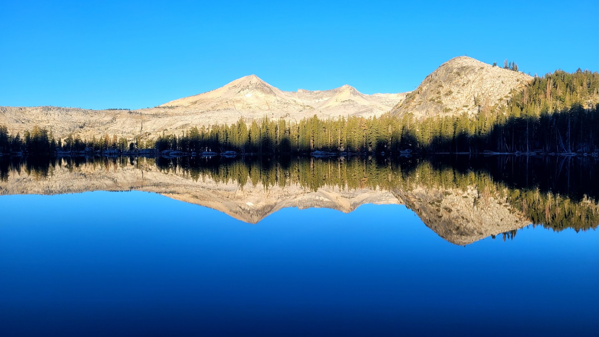 water falls in the forest