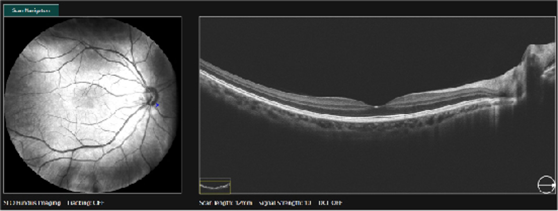 a group of different colored buttons on a pink surface