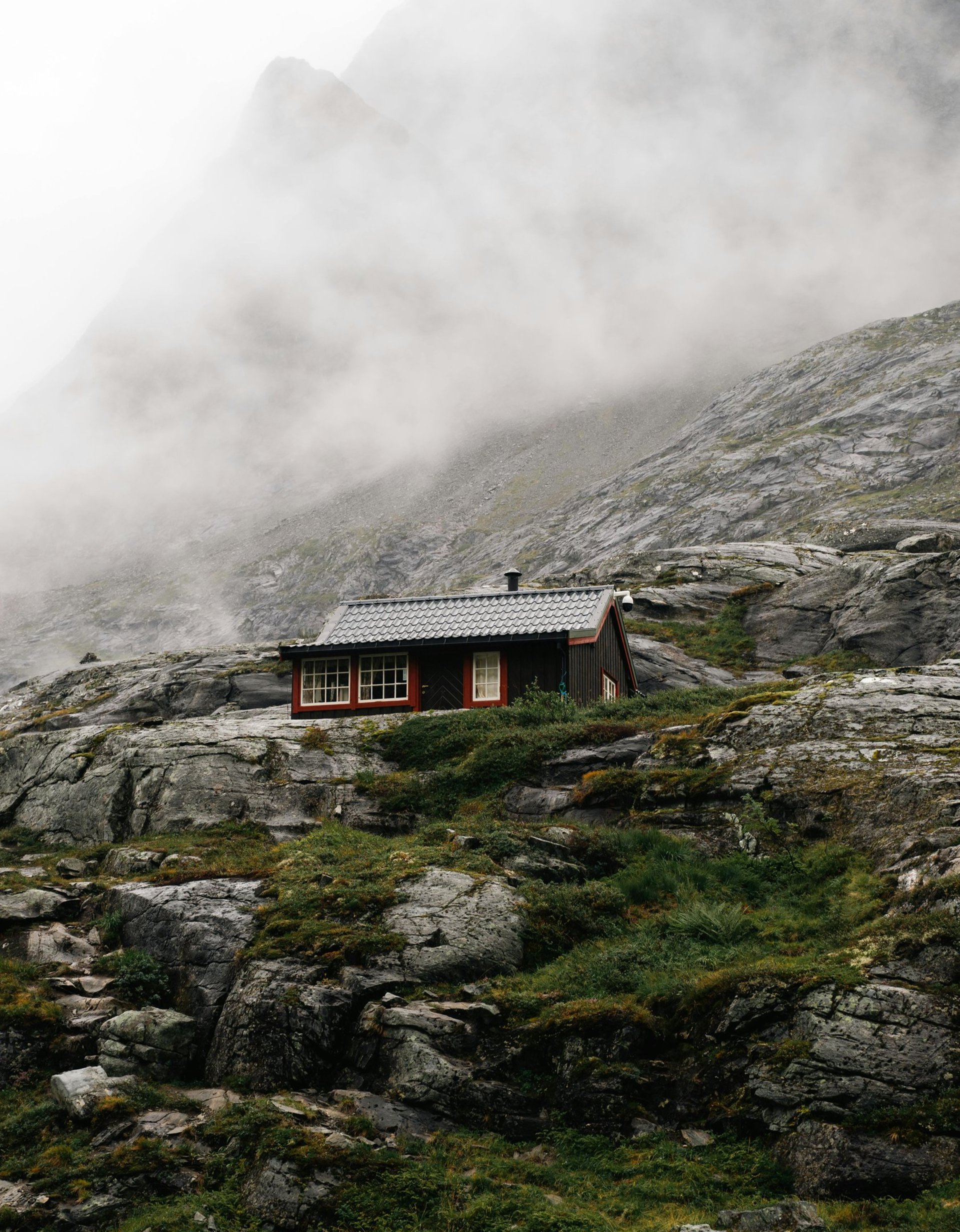 silhouette photography of two coconut trees near body water during golden hour