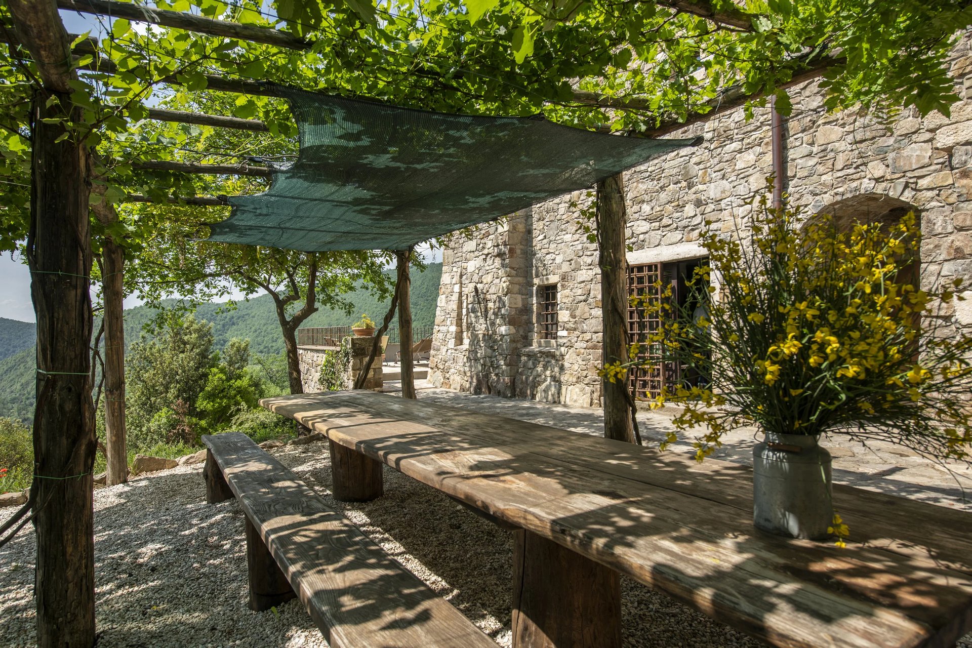 silhouette photography of two coconut trees near body water during golden hour