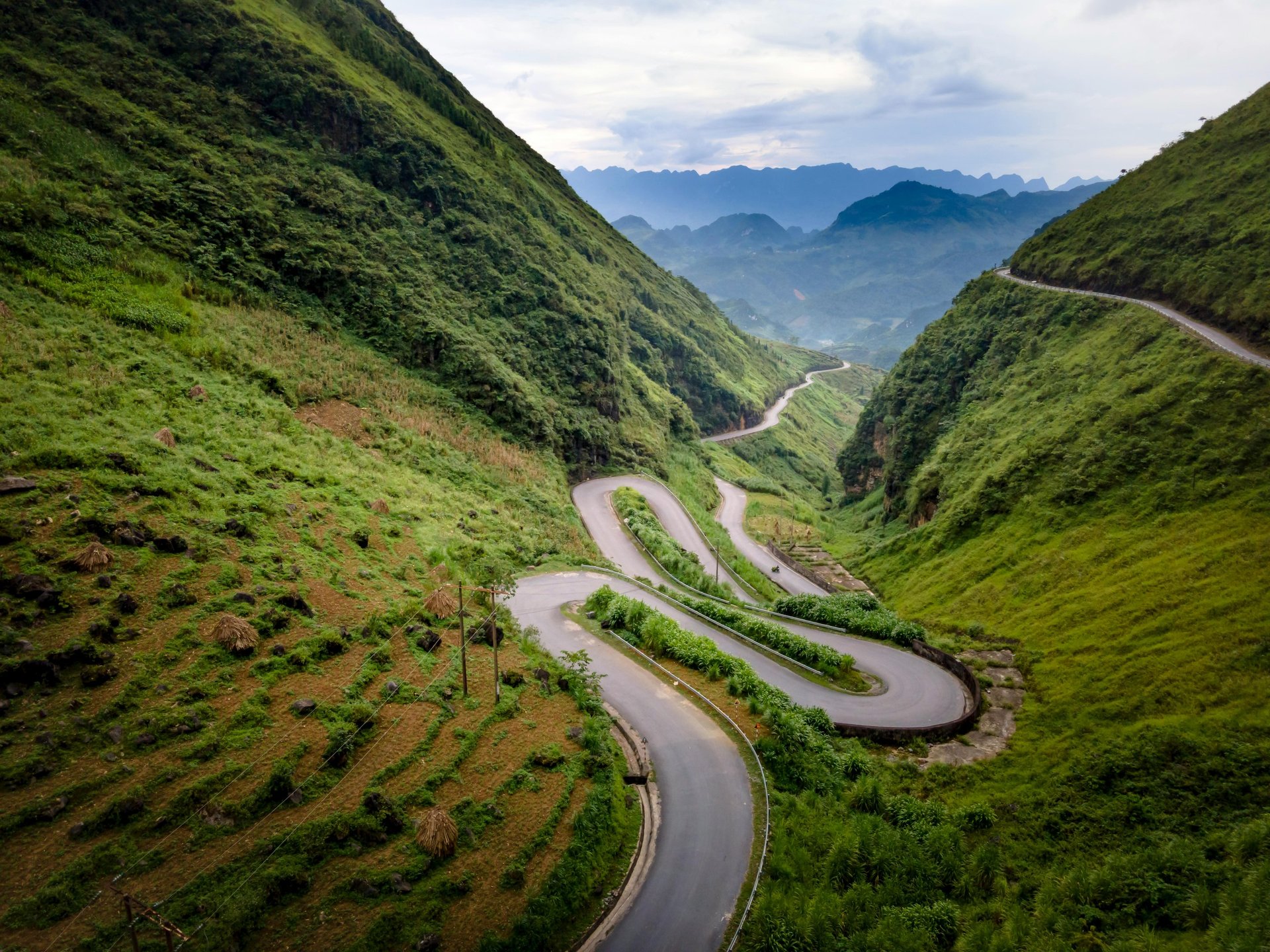 silhouette photography of two coconut trees near body water during golden hour
