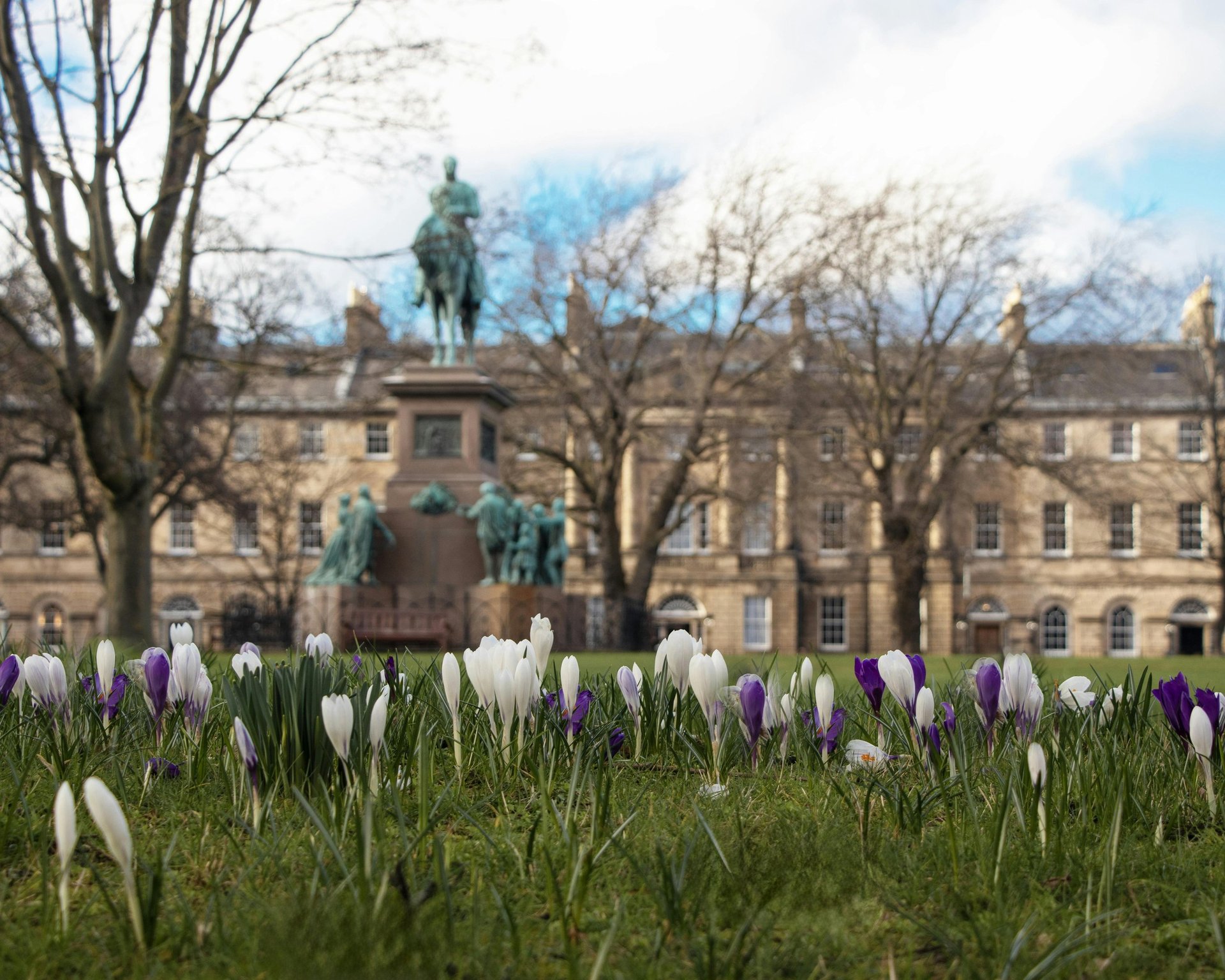 silhouette photography of two coconut trees near body water during golden hour