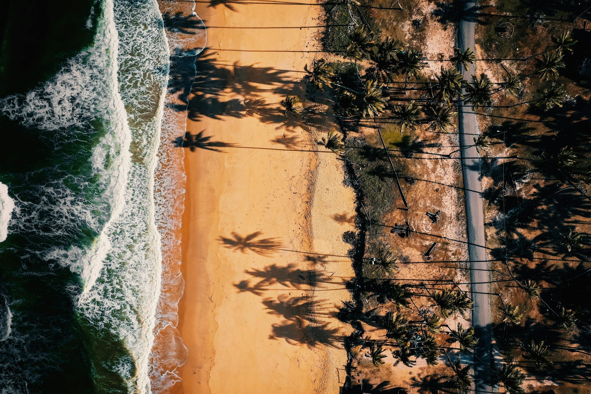 silhouette photography of two coconut trees near body water during golden hour