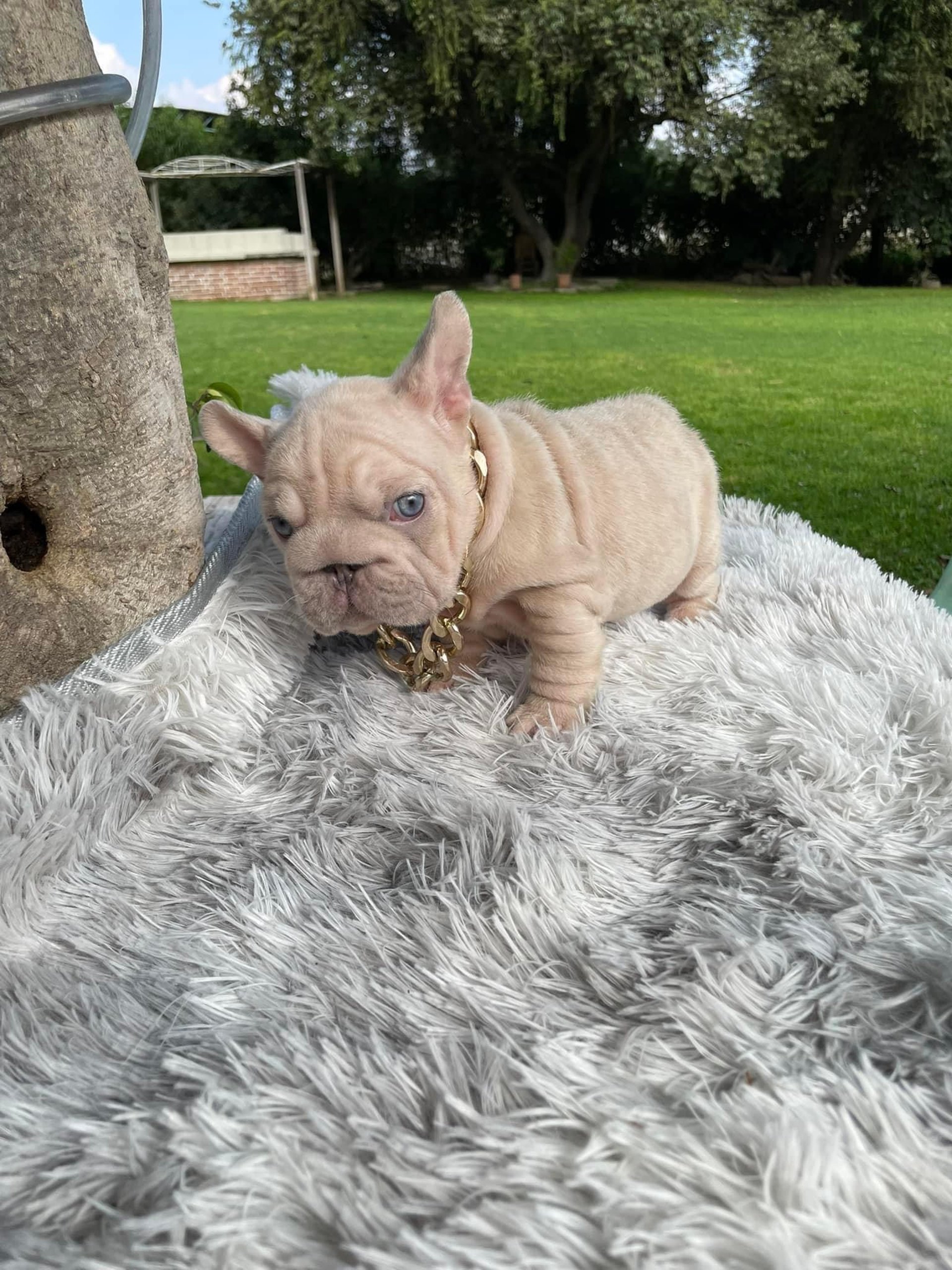 person wearing grey knit sweater