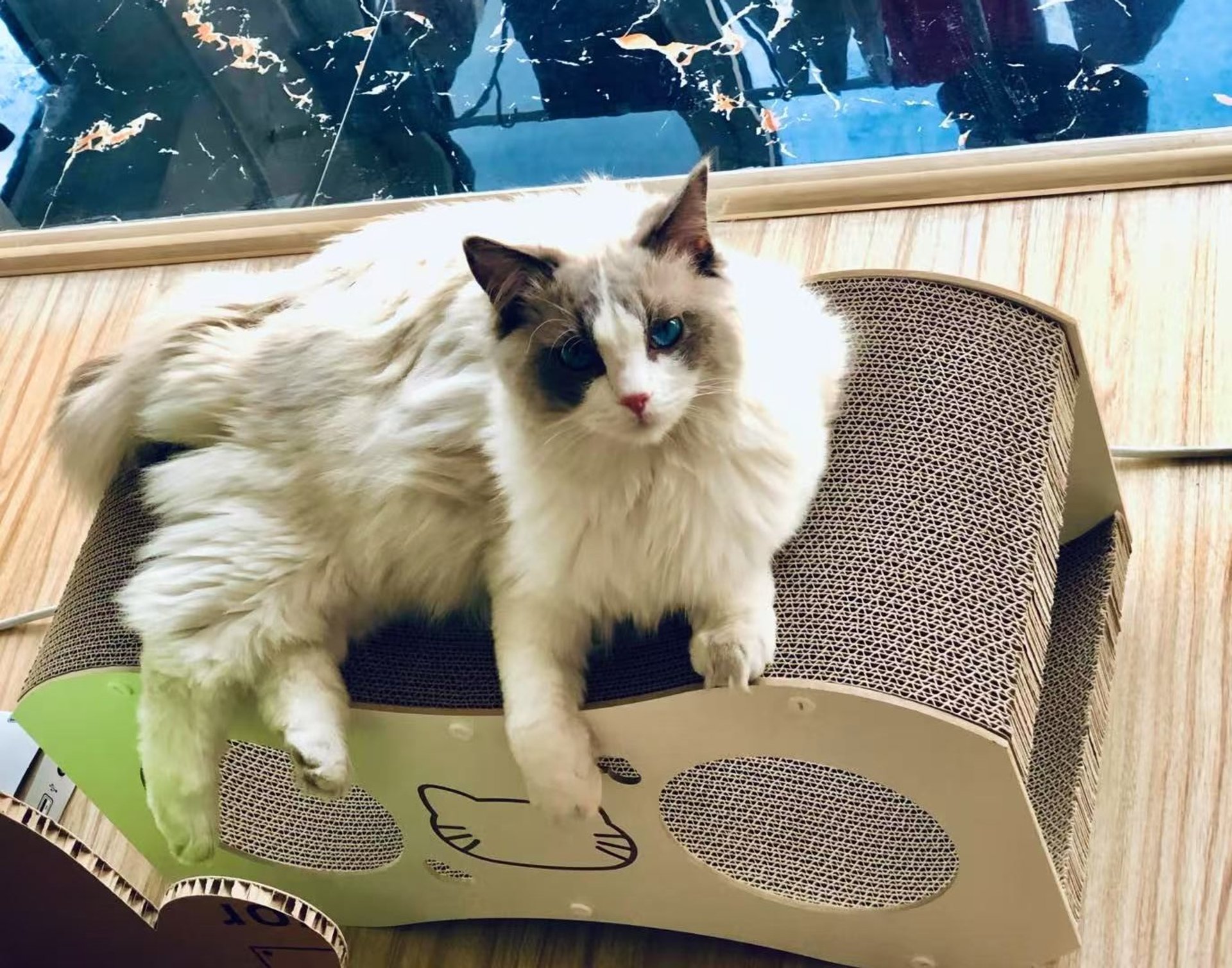 black and white bed linen