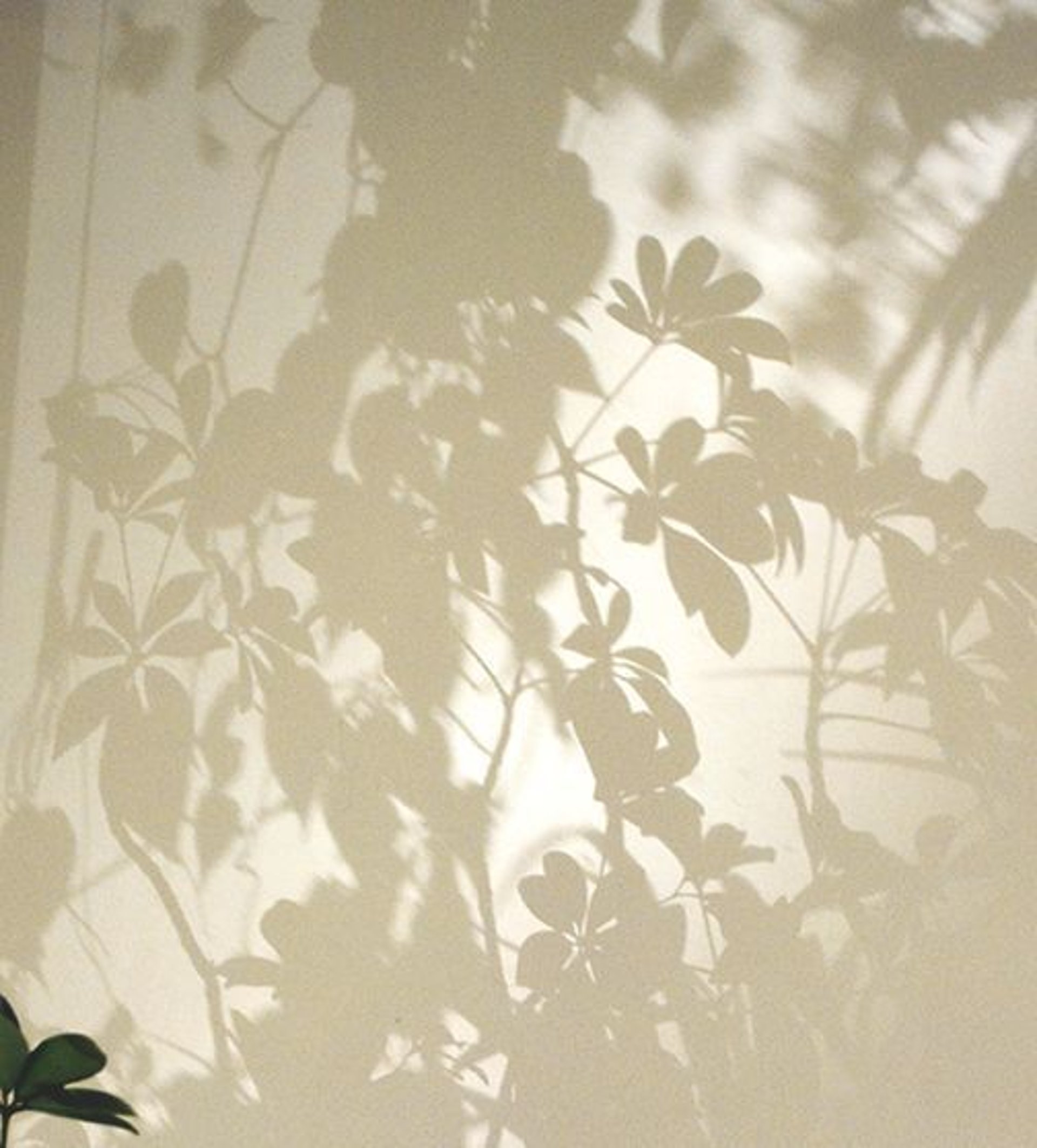 a bird sitting on top of a tree filled with purple flowers