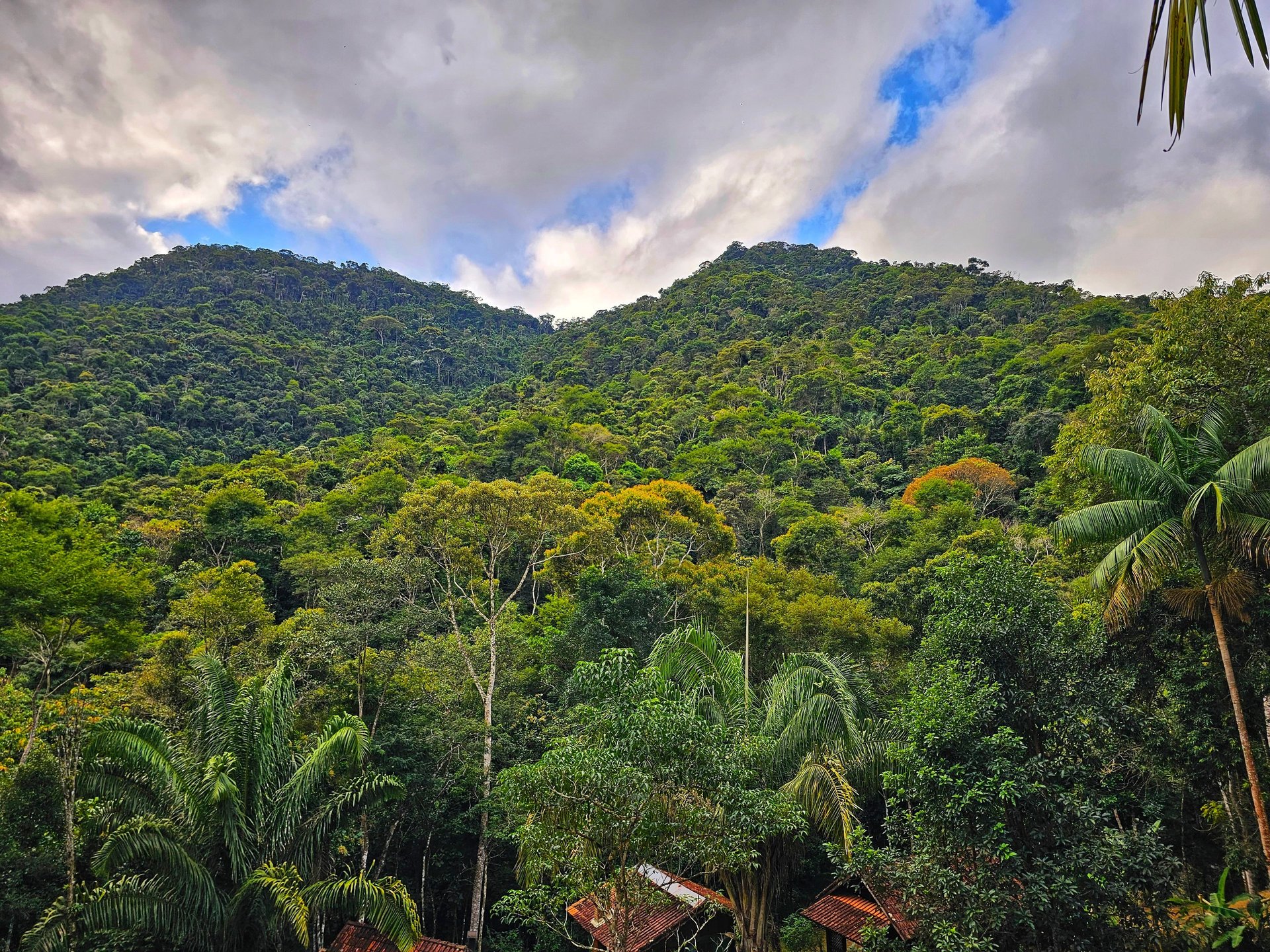 black and brown leather padded tub sofa