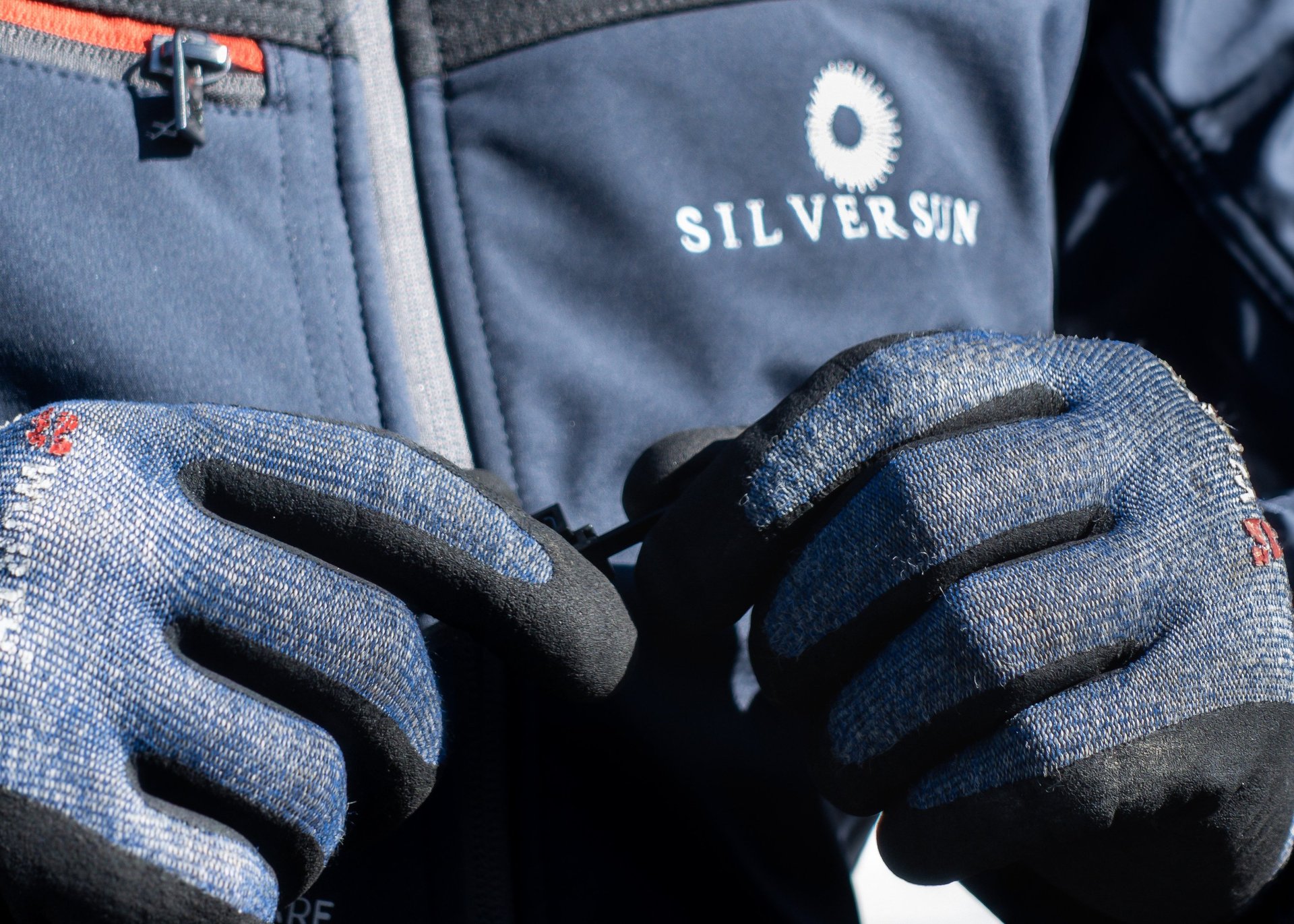 macro photography of lights