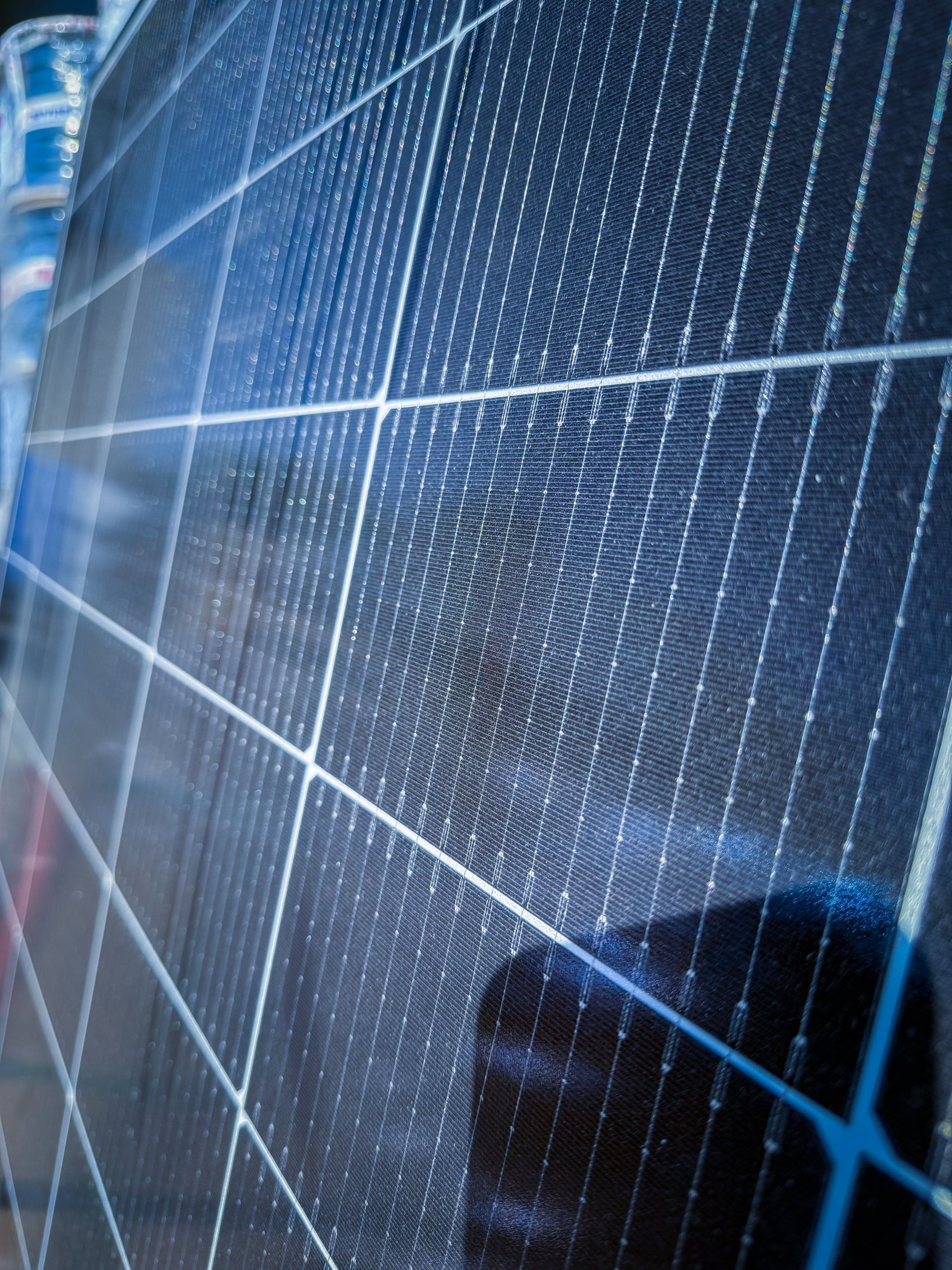 macro photography of lights