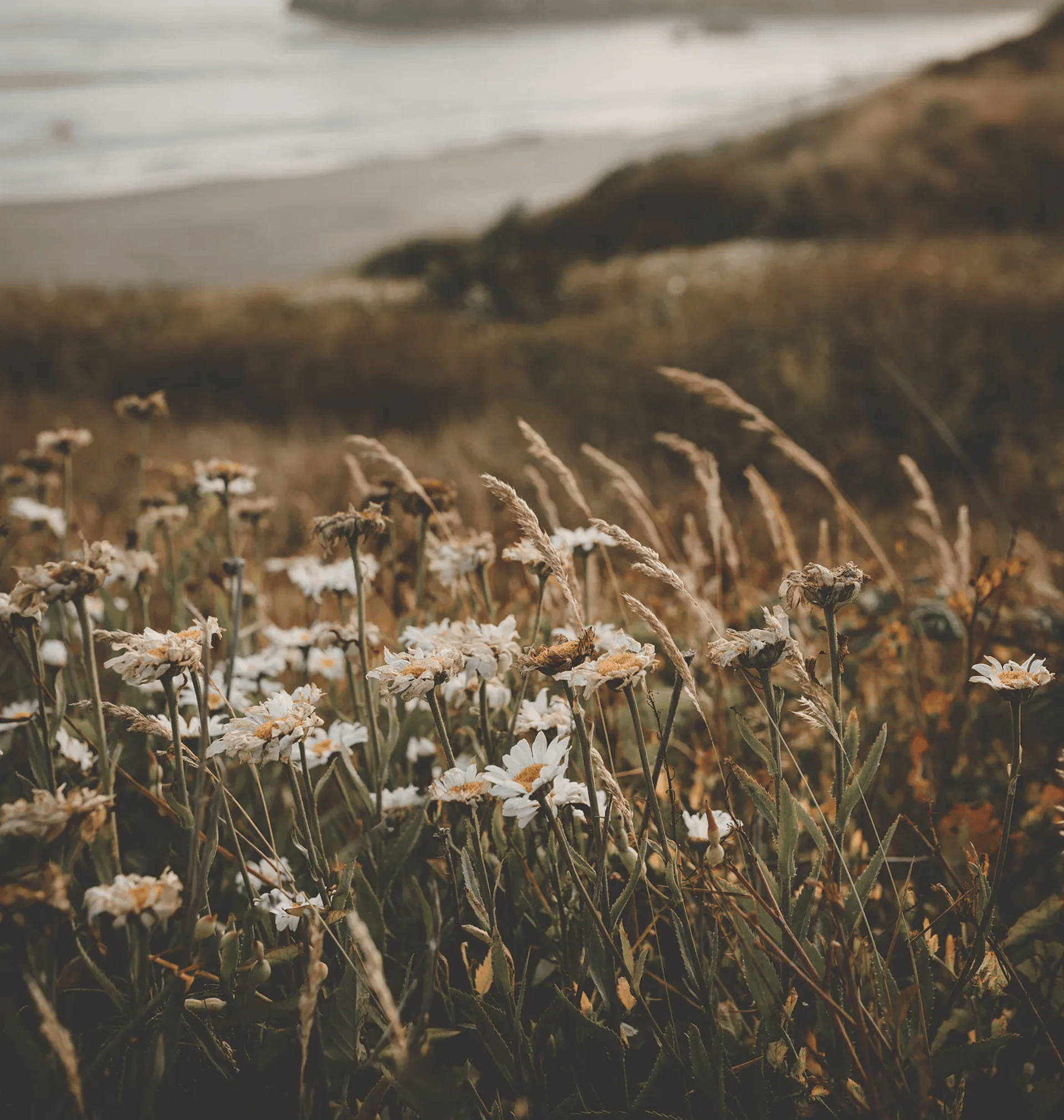 assorted-color flower decors on table with candle holders