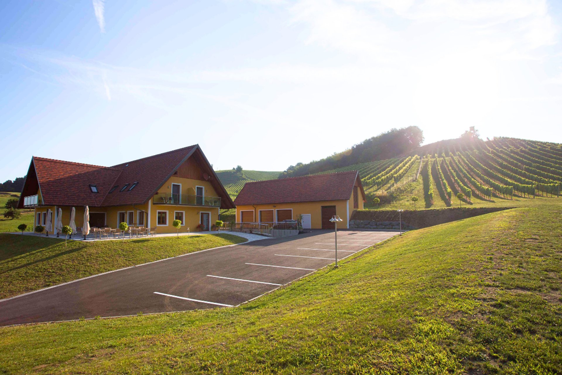 Panorama vom Weingut Uhl