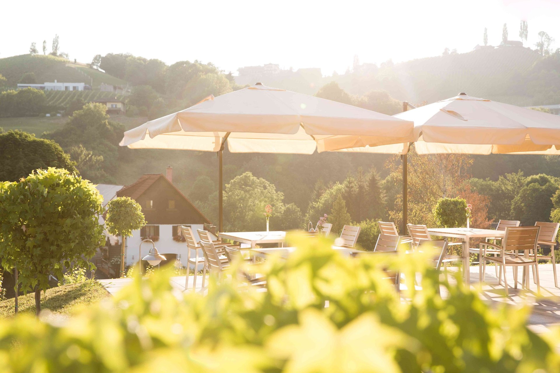 Buschenschank Außenbereich