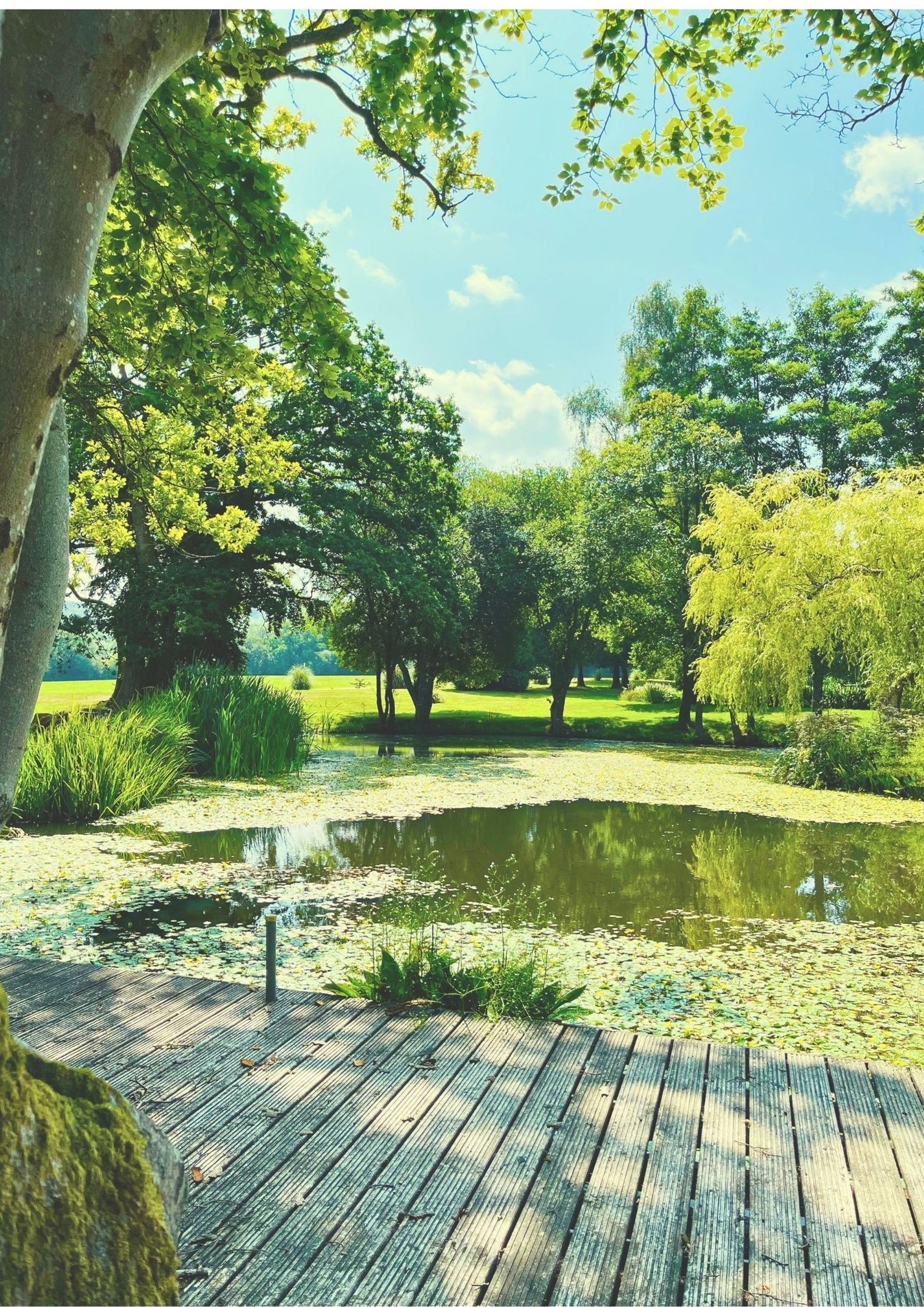 a close up of a multi colored wooden wall