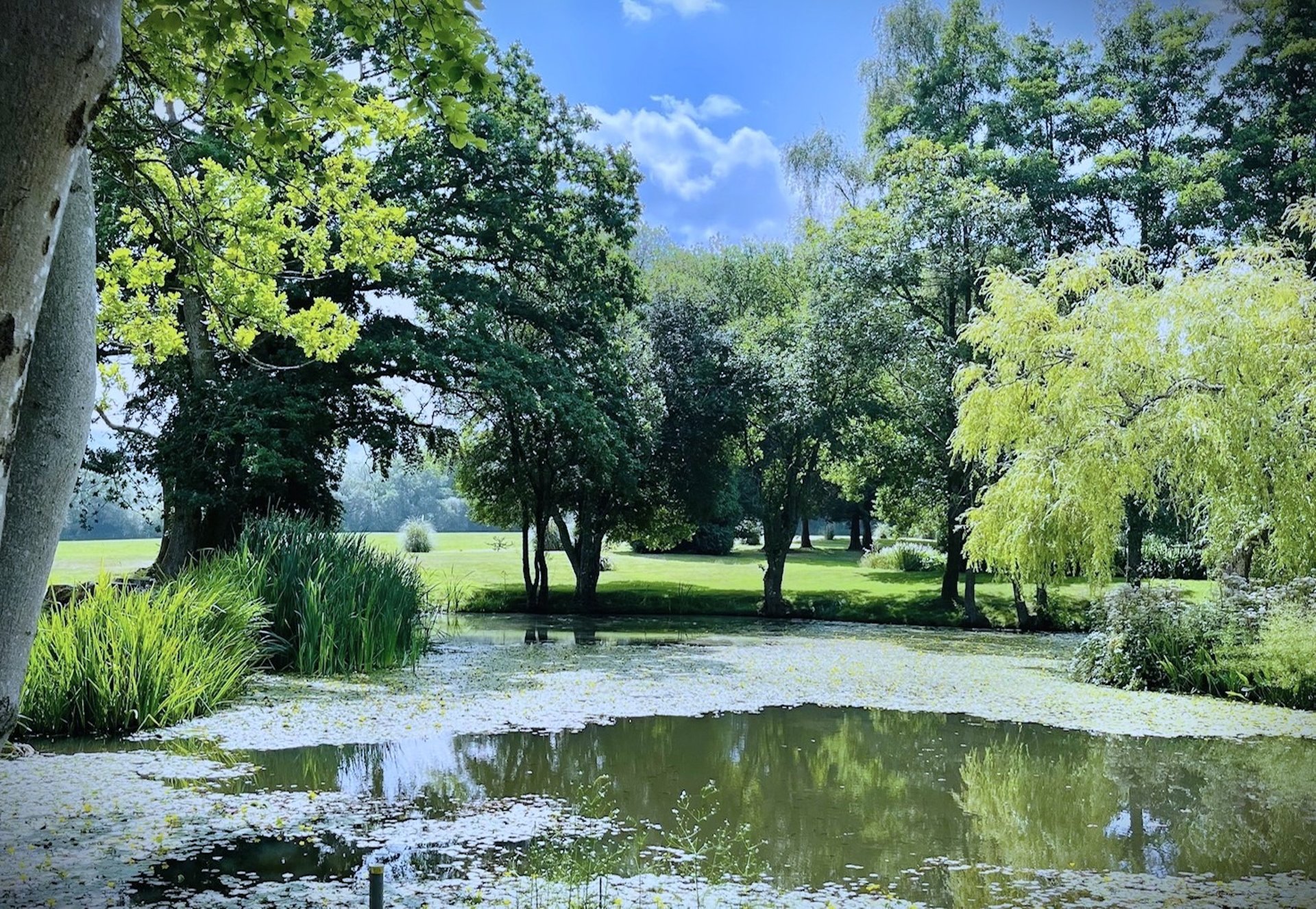 a close up of a multi colored wooden wall