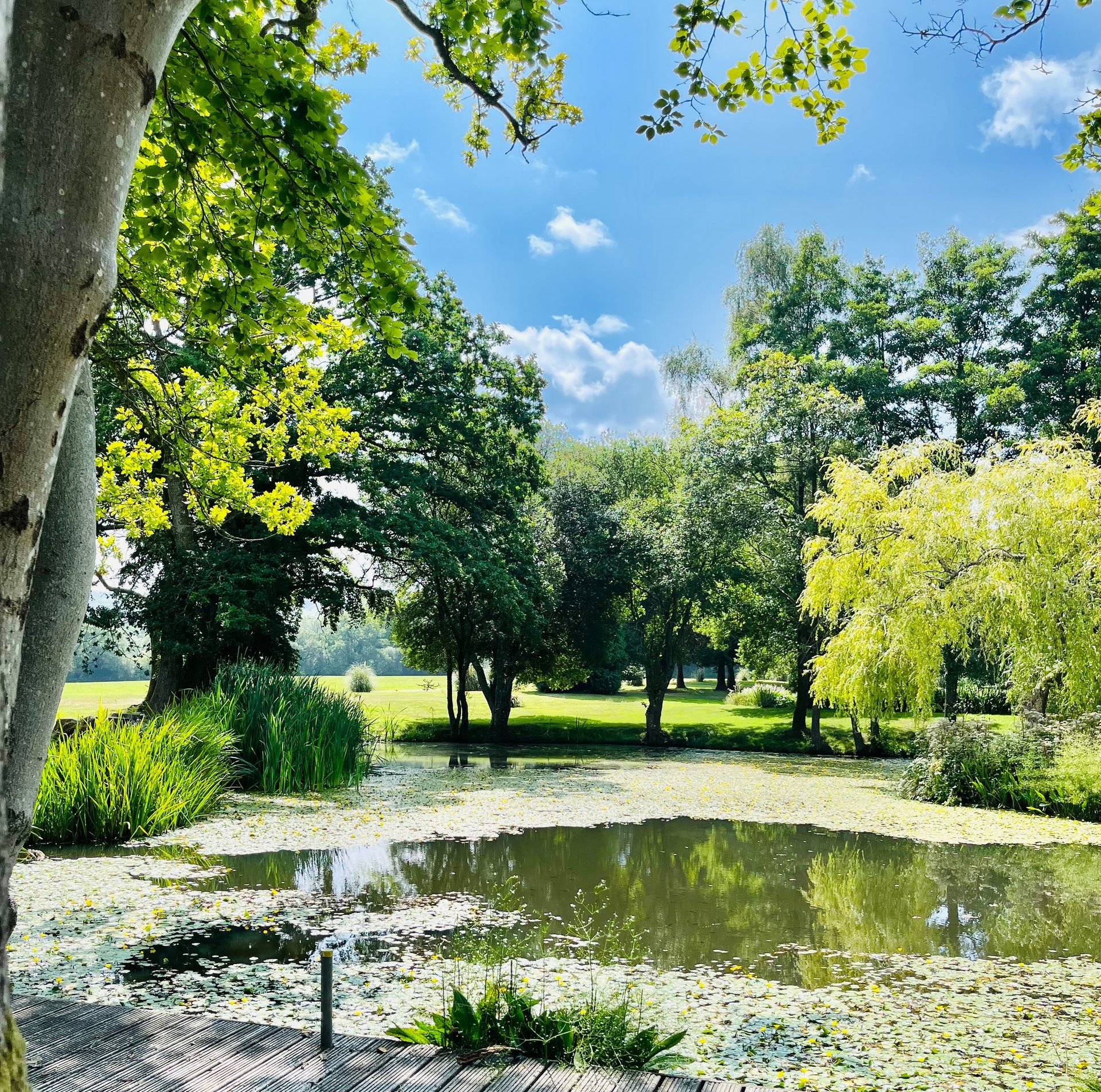 a close up of a multi colored wooden wall