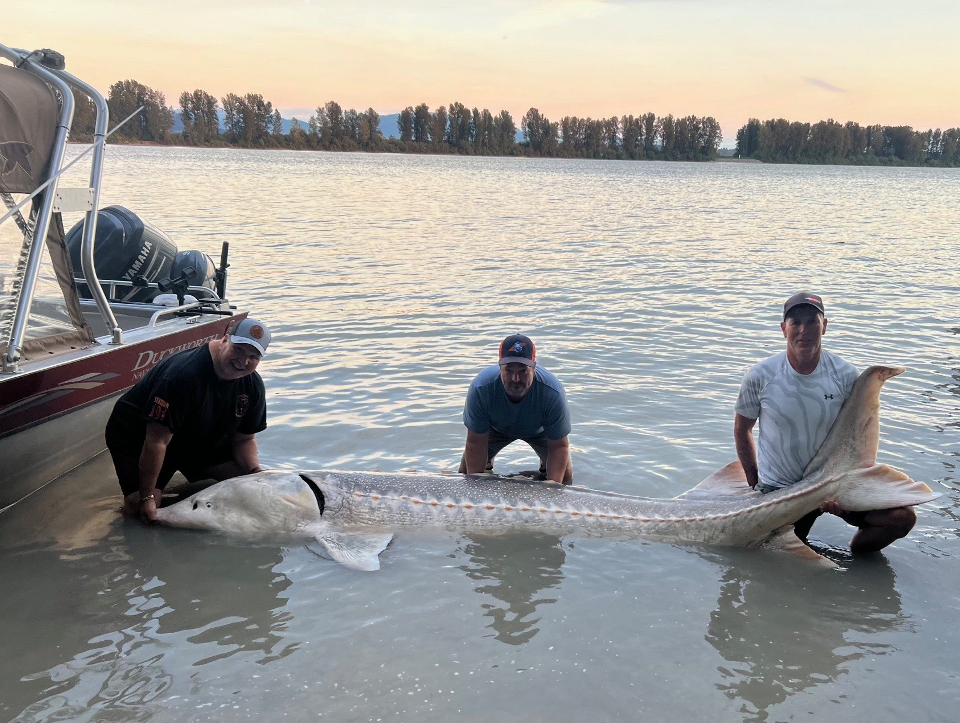black and brown leather padded tub sofa