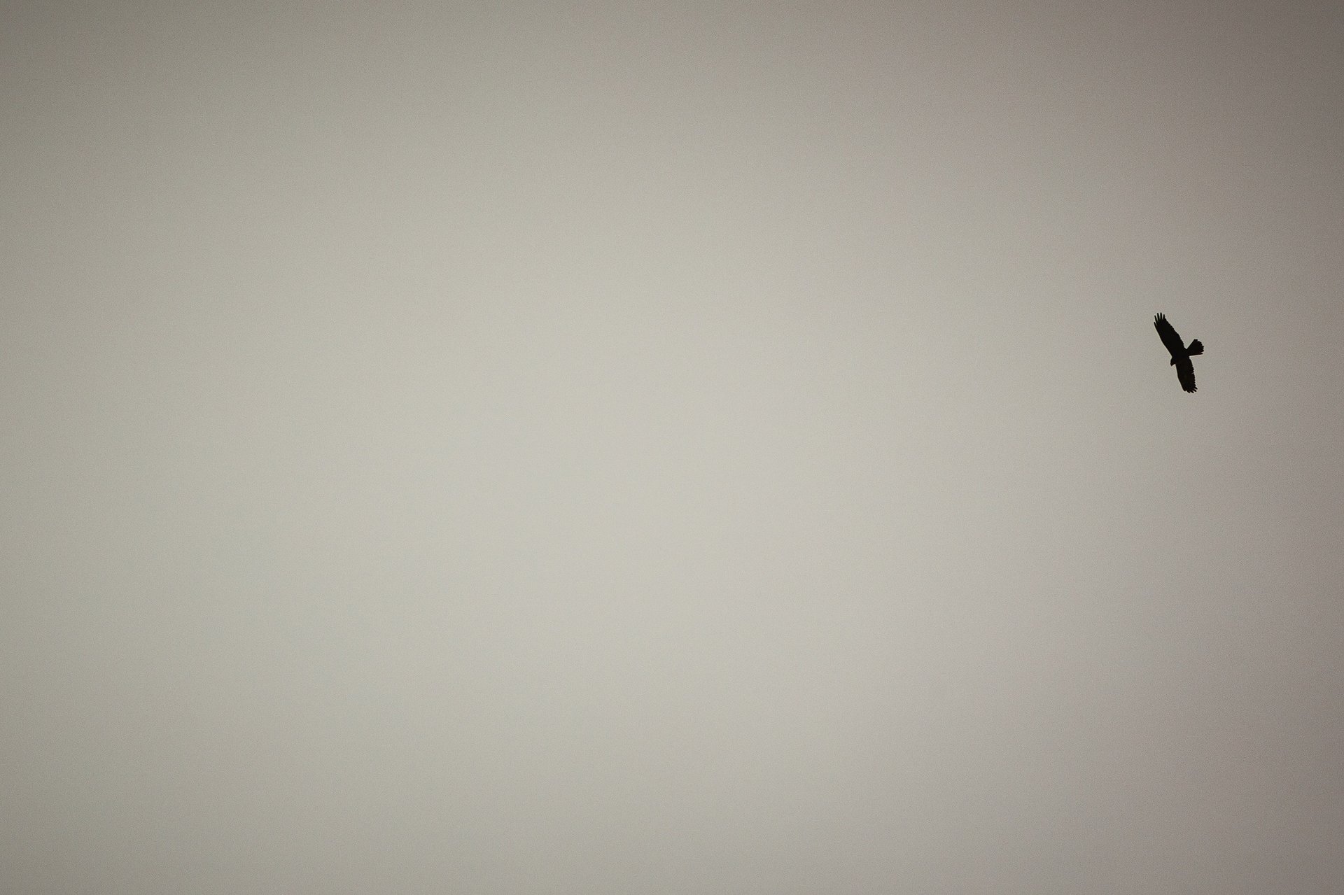 white candle on black table