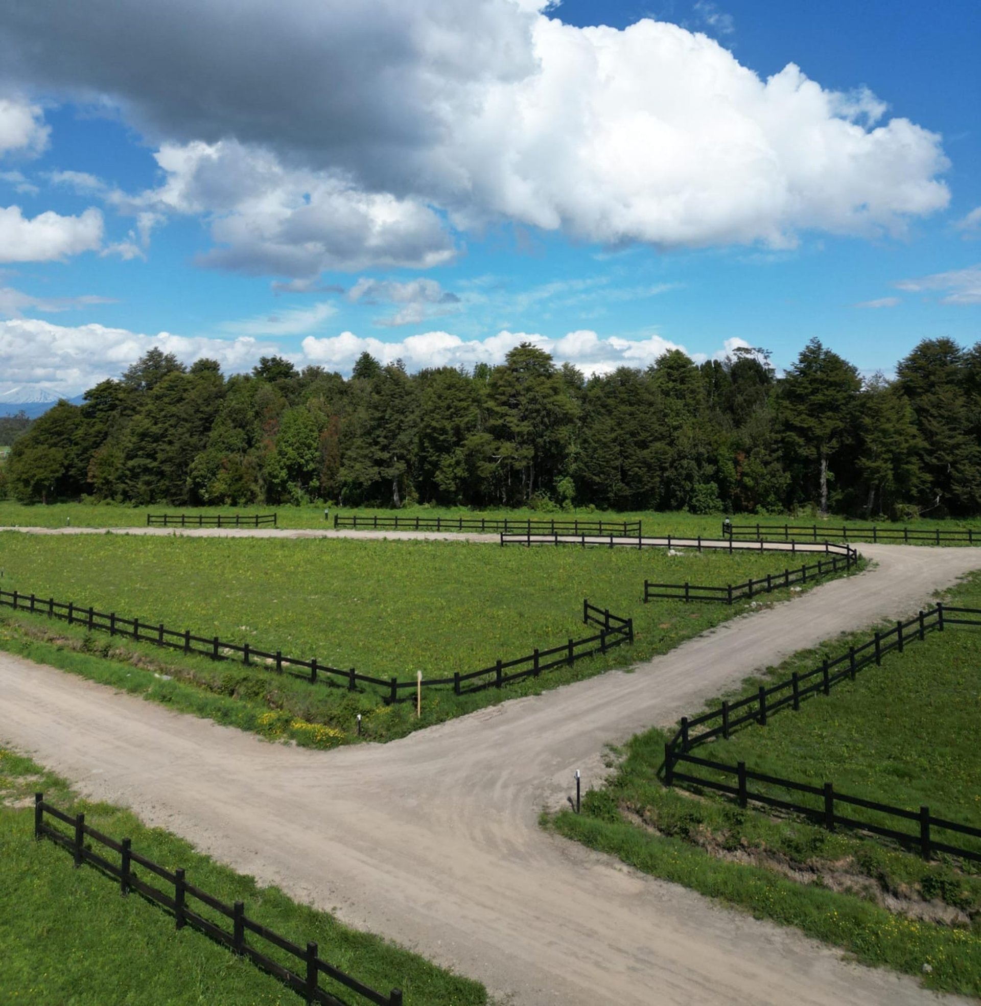 black and brown leather padded tub sofa
