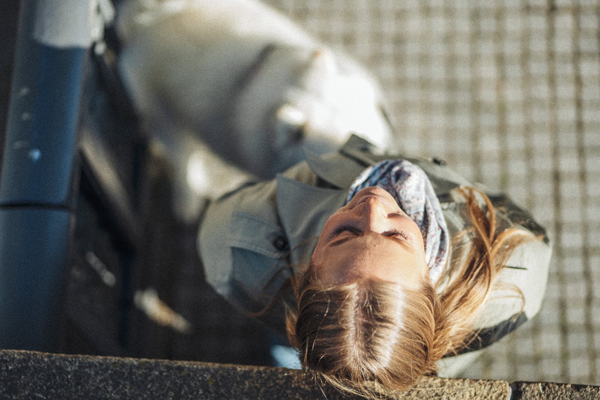 an abstract photo of a curved building with a blue sky in the background