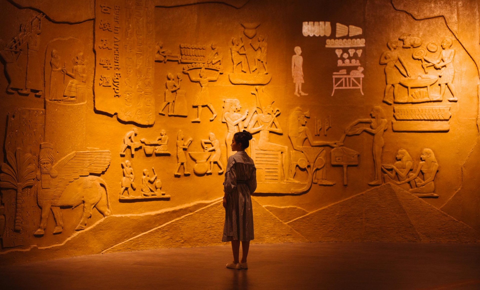 rise and fall of ancient Egyptian dynasties