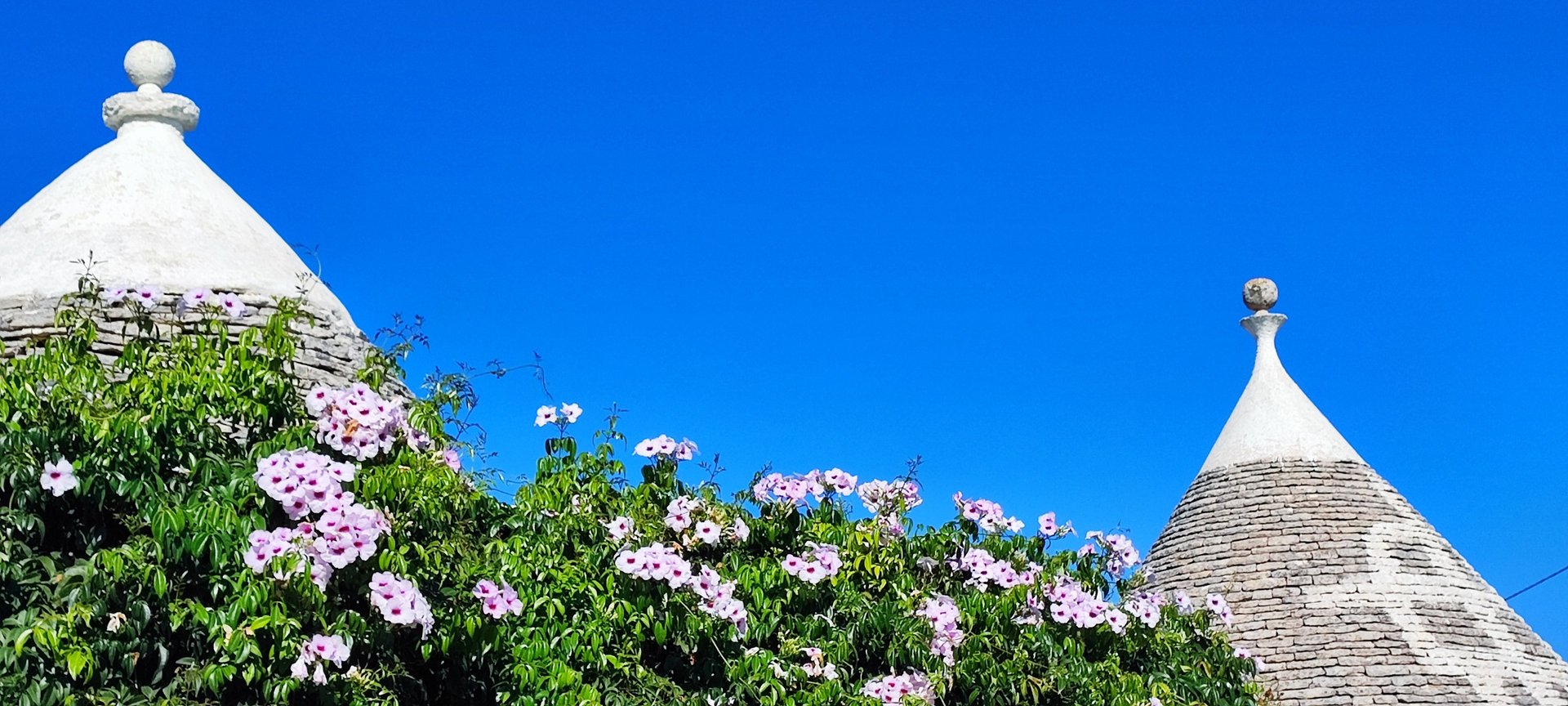 white and brown concrete house