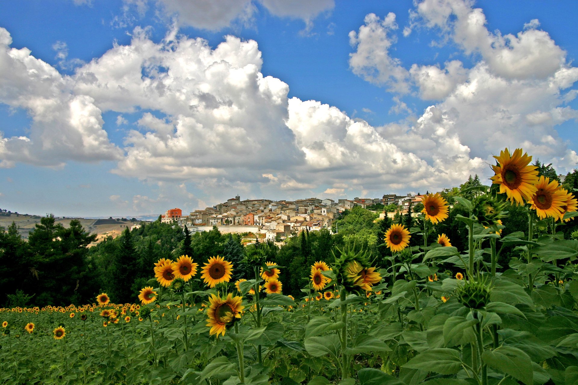 woman in black and white dress sitting on rock formation in front of body of water
