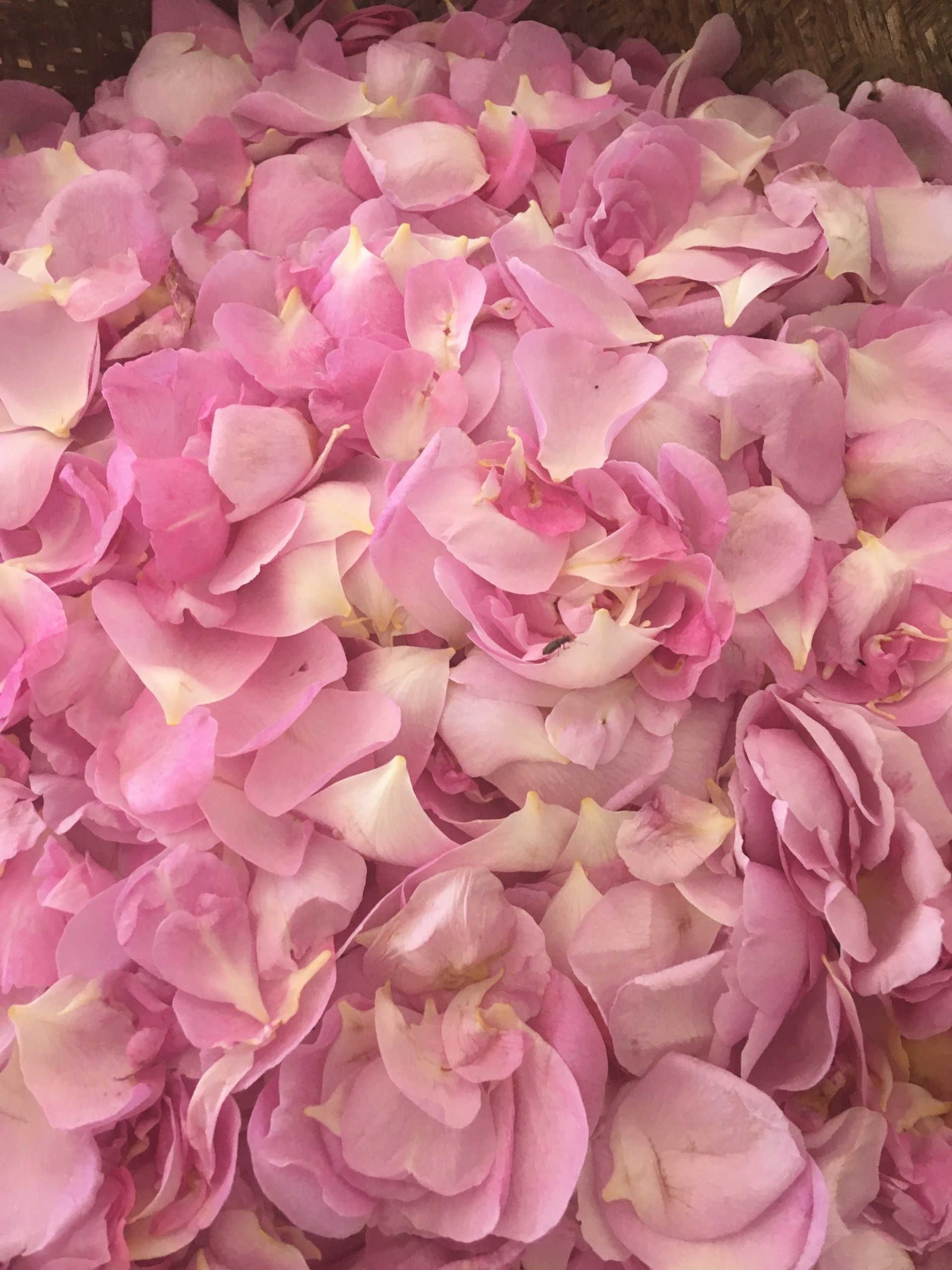 gray stone on gray rock