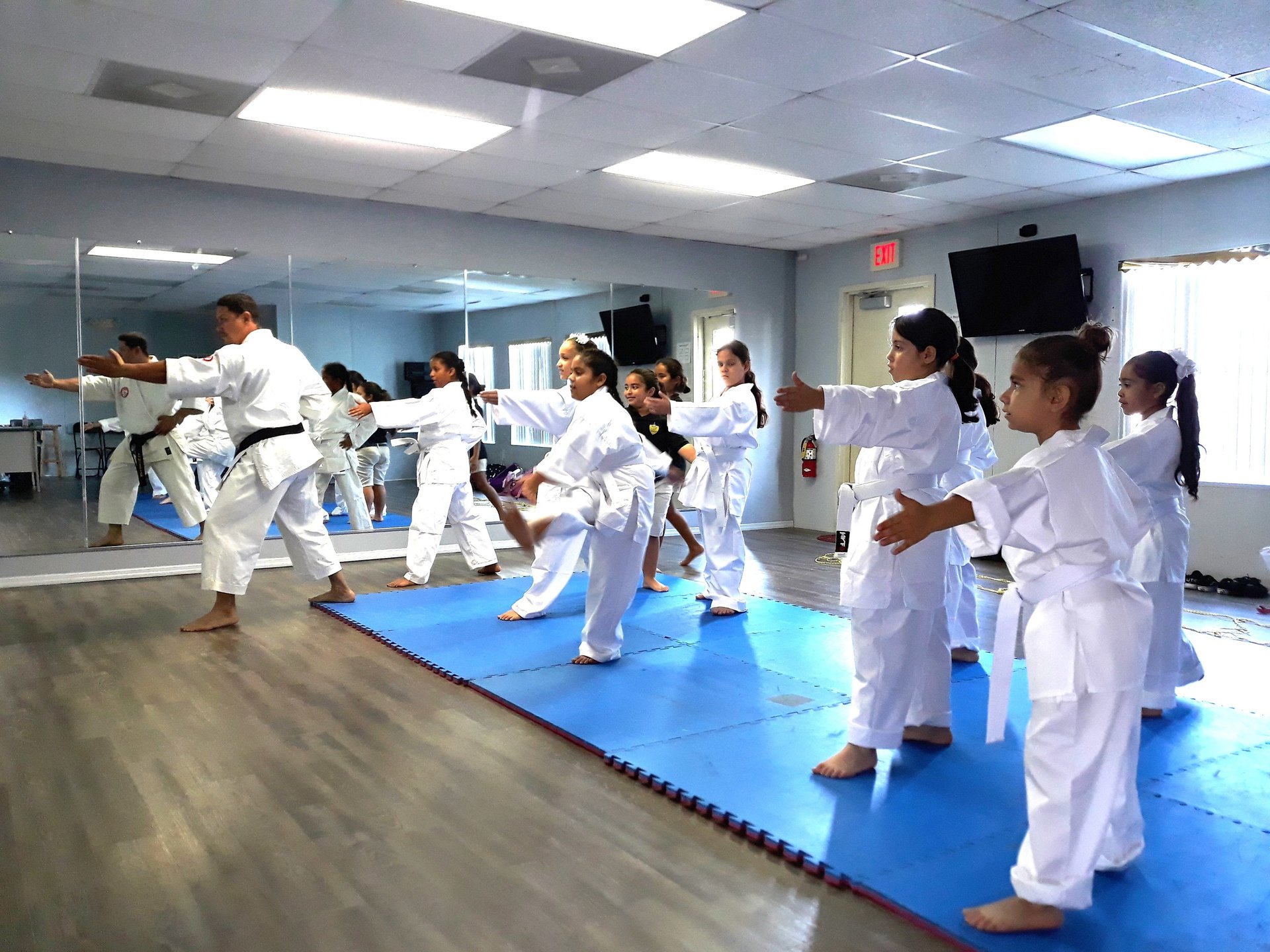 a group of palm trees