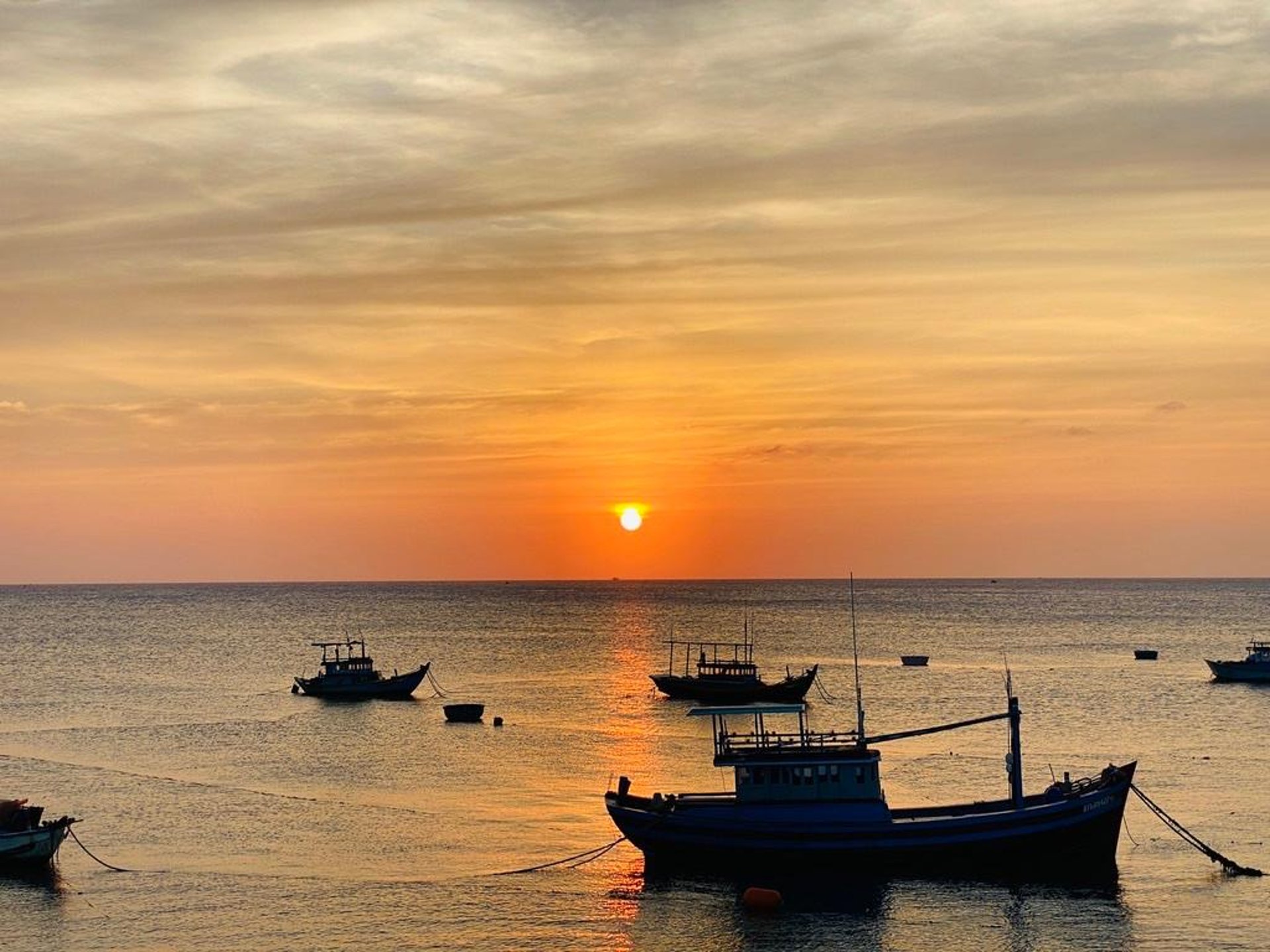 a bunch of lanterns that are hanging from a tree