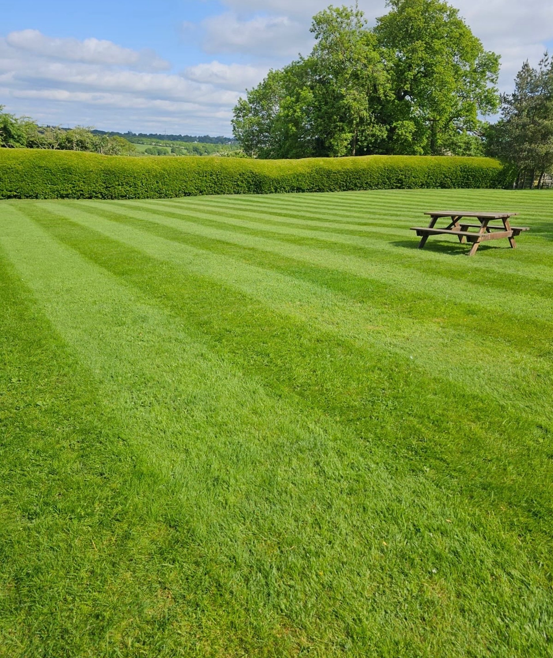 black and white bed linen