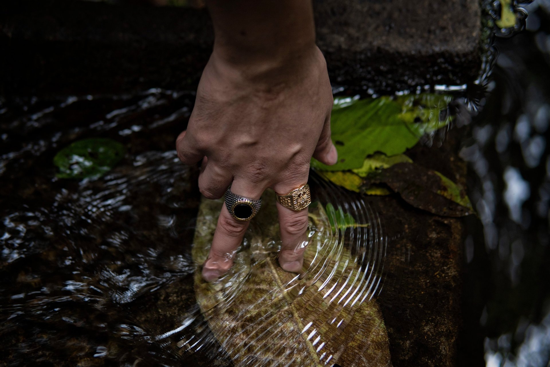 black and white bed linen
