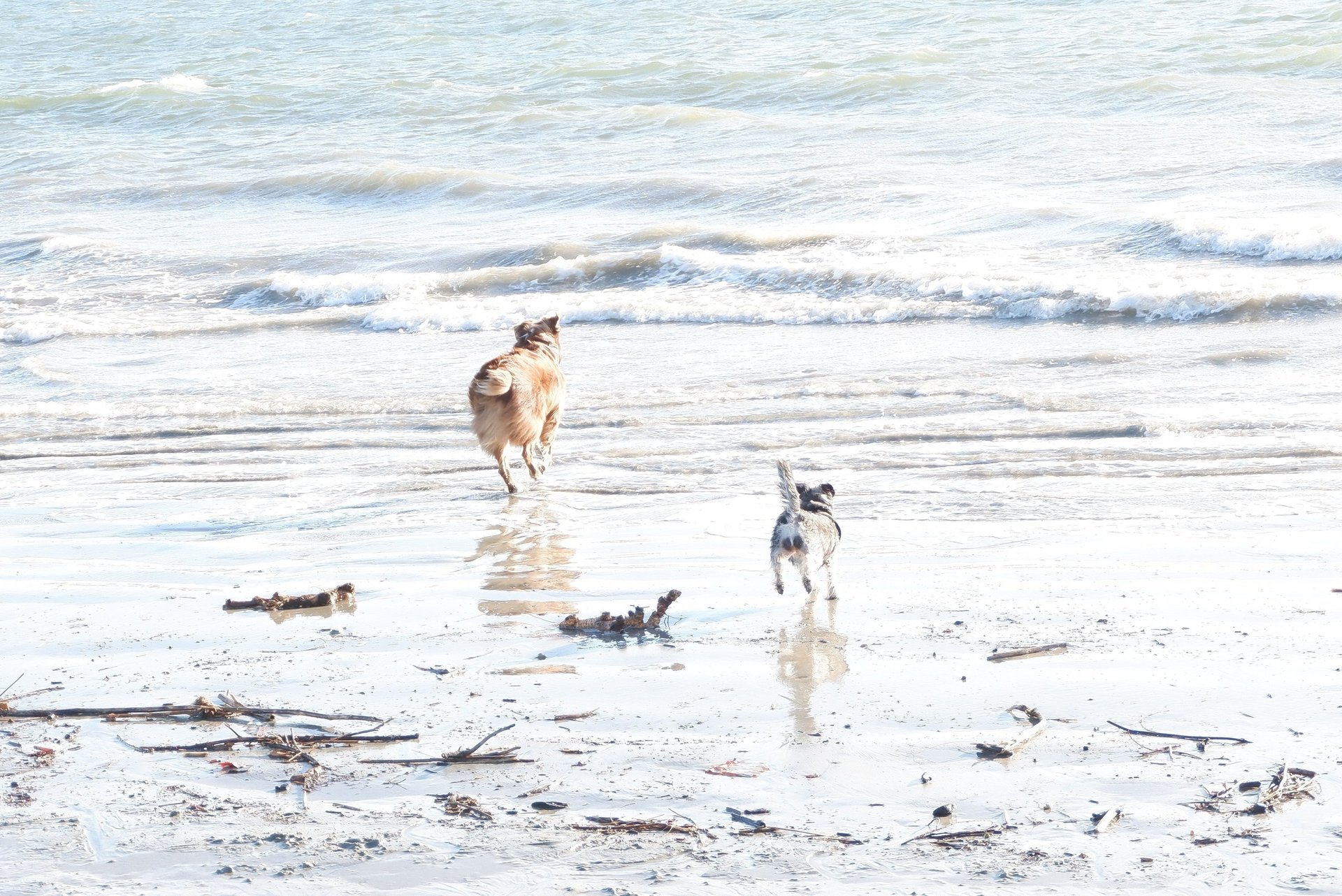 woman wearing yellow long-sleeved dress under white clouds and blue sky during daytime
