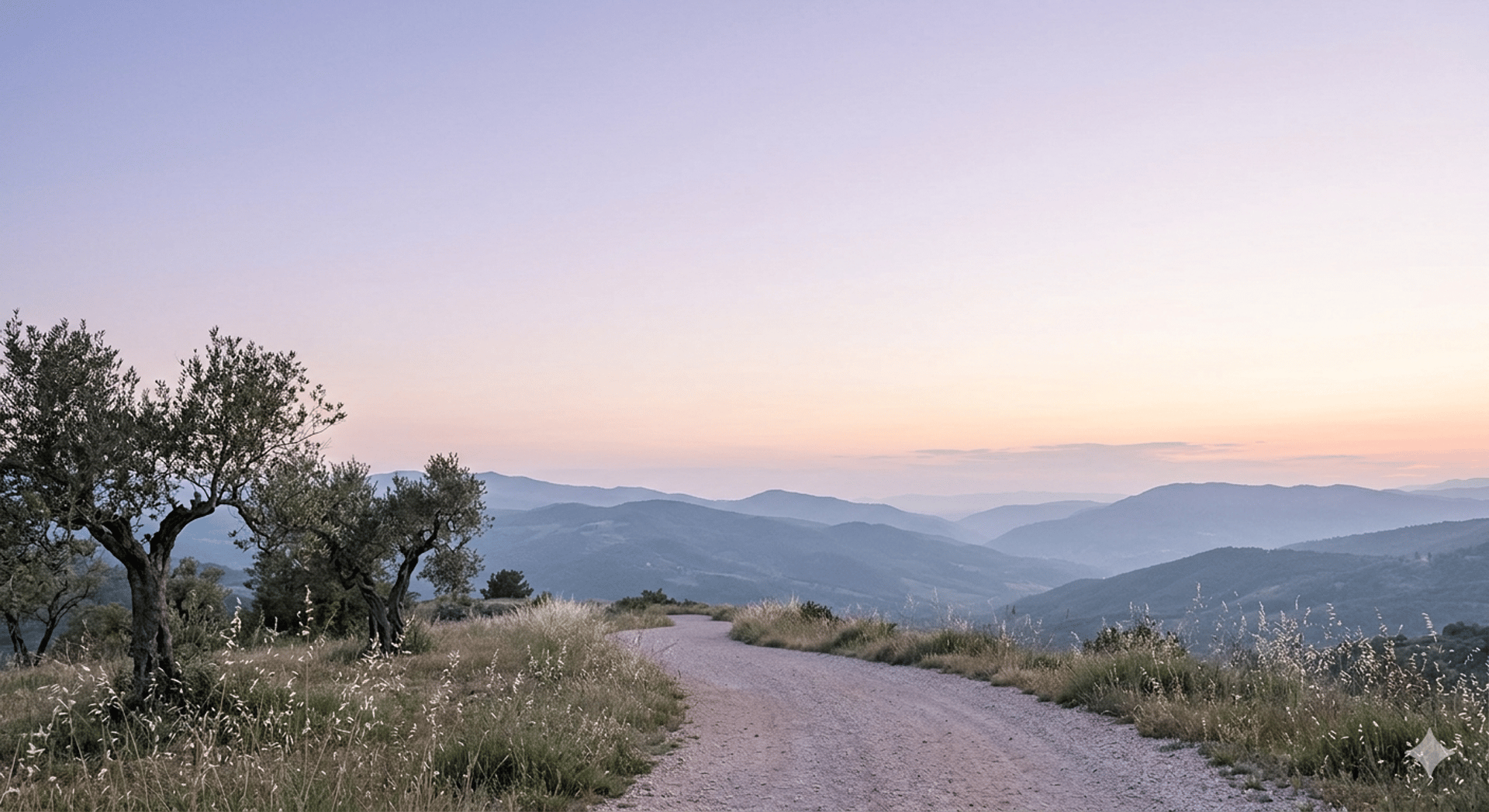 Gravel path lined with trees next to a lake.