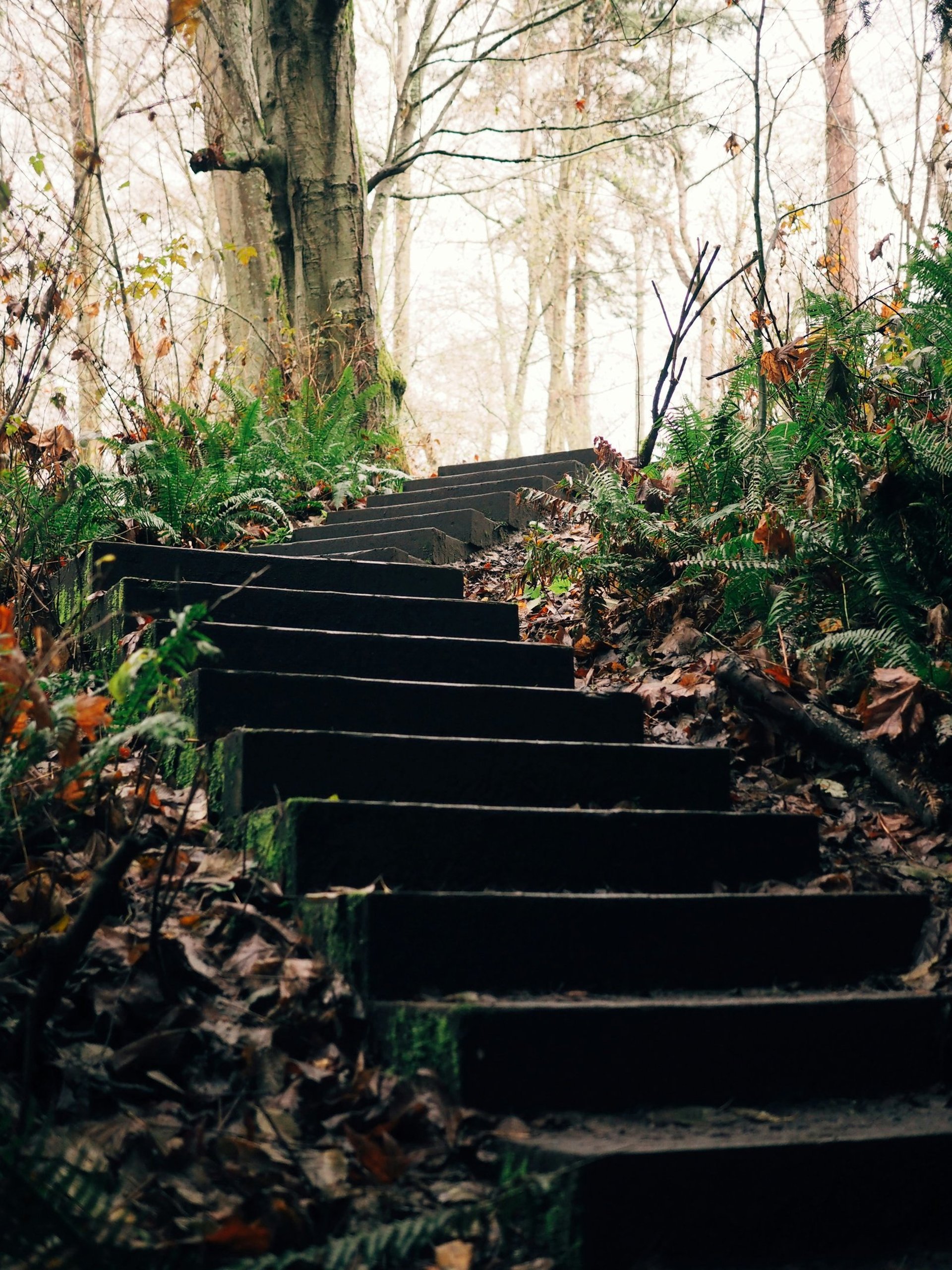 escalier menant vers Dieu