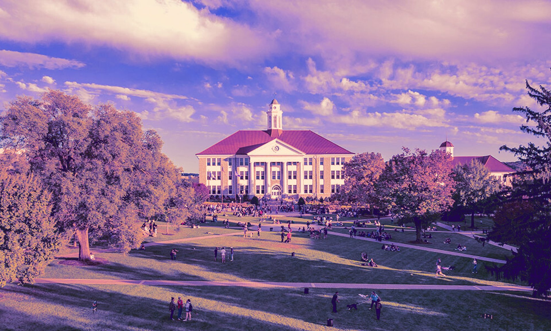 pencils on blue table