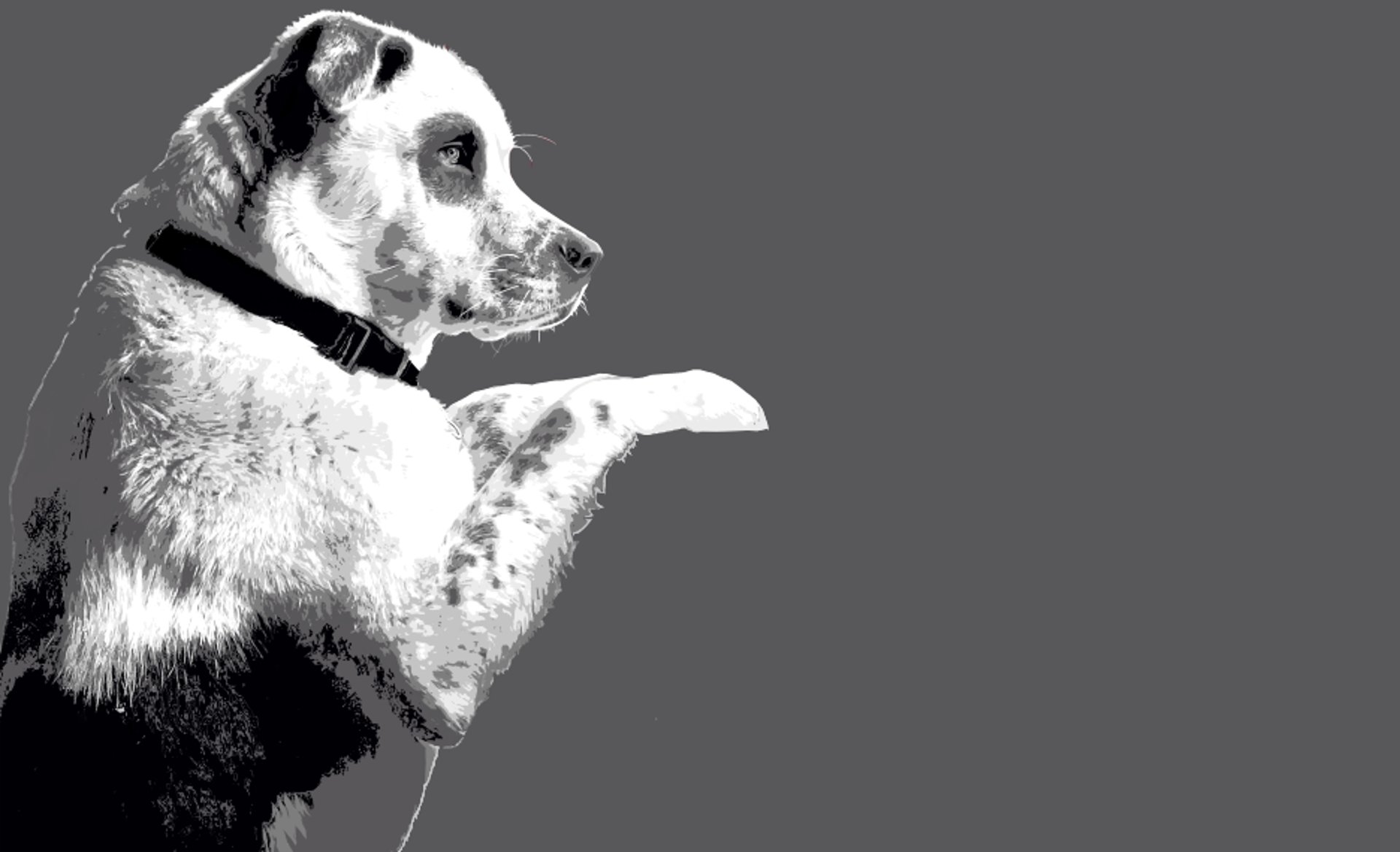 black and brown leather padded tub sofa