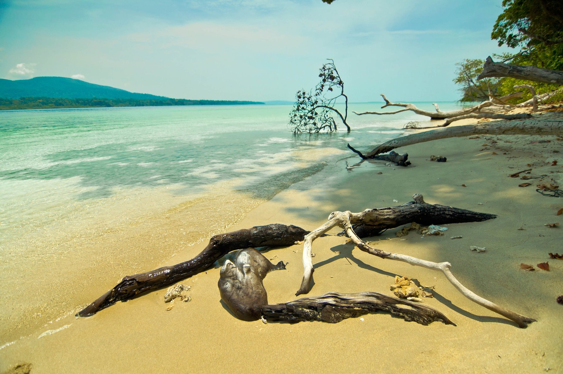 an abstract photo of a curved building with a blue sky in the background