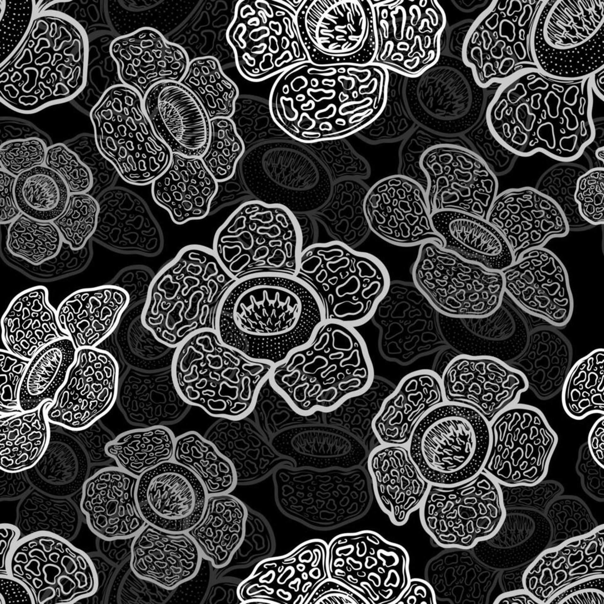 mountain range under blue sky