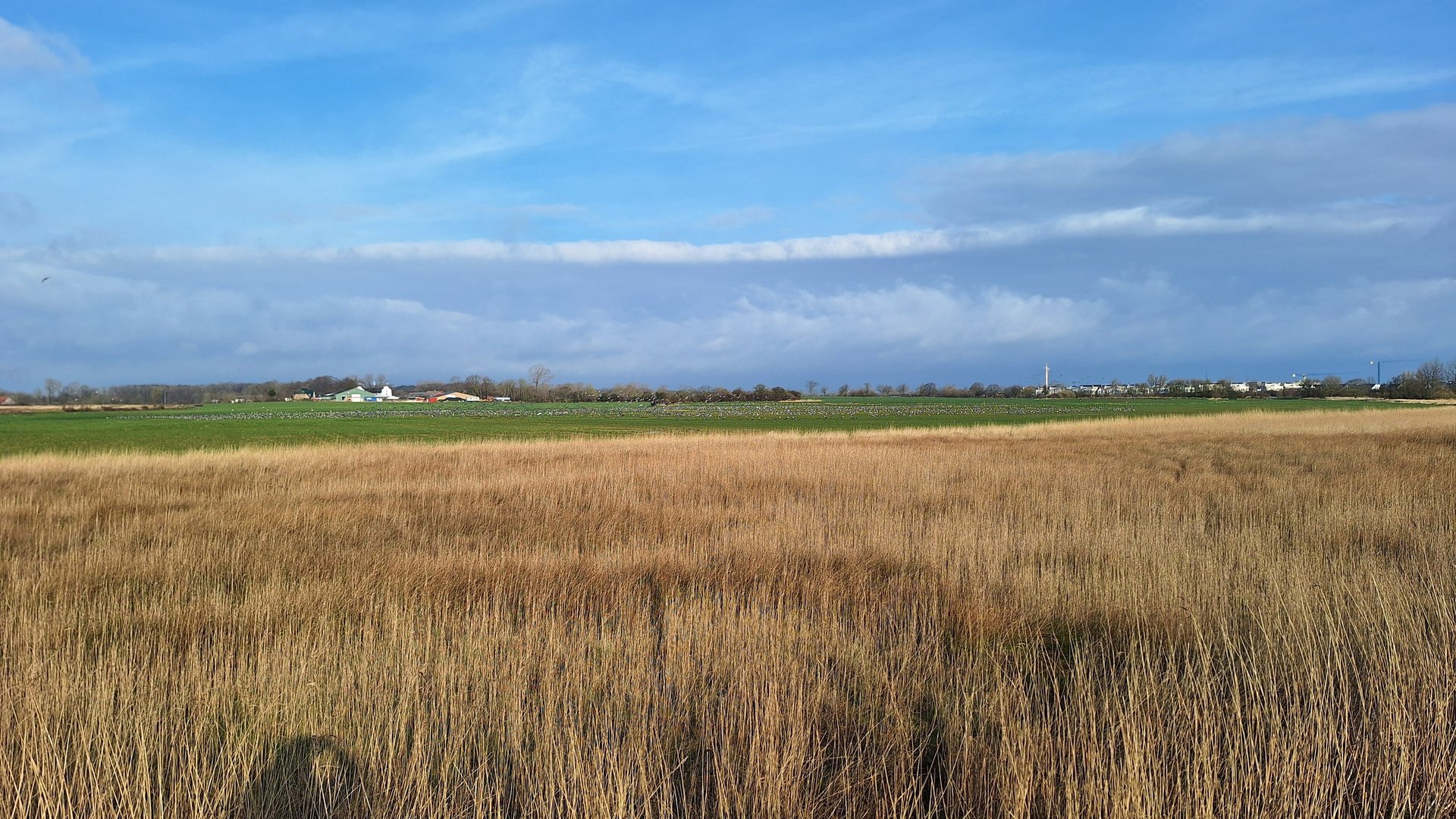 gray computer monitor